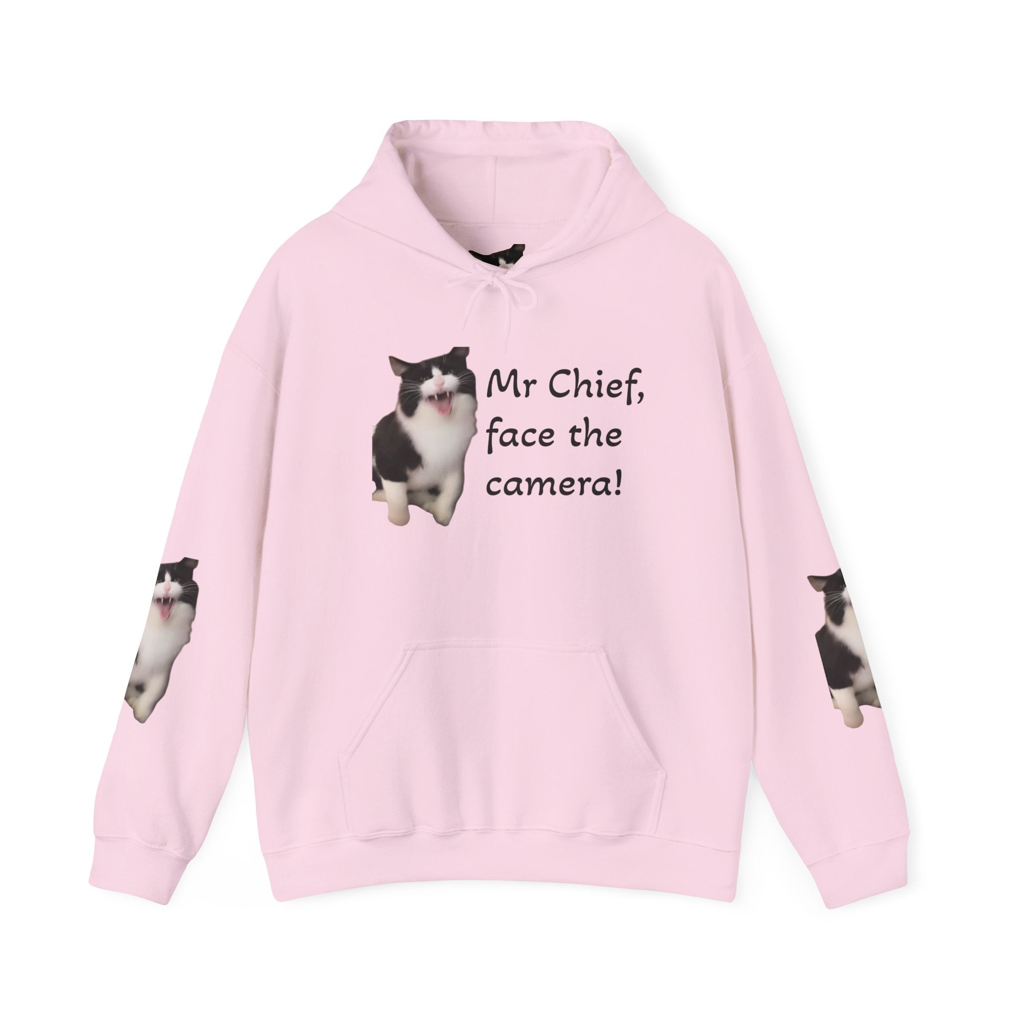 Cat Photo Hoodie — "Mr Chief, face the camera!" Cute Tuxedo Cat Portrait Sweatshirt