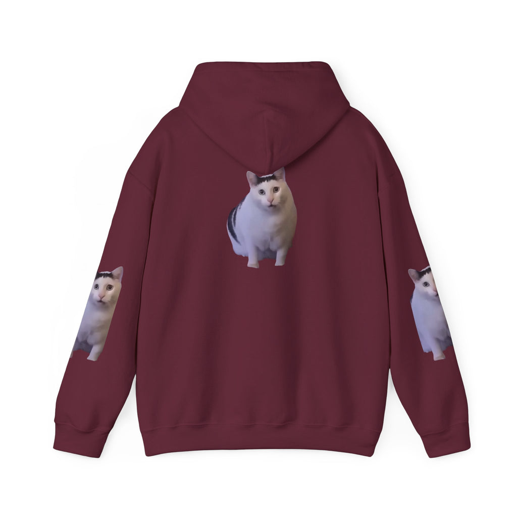 Cat Photo Hoodie – Cute Chubby Cat Pullover
