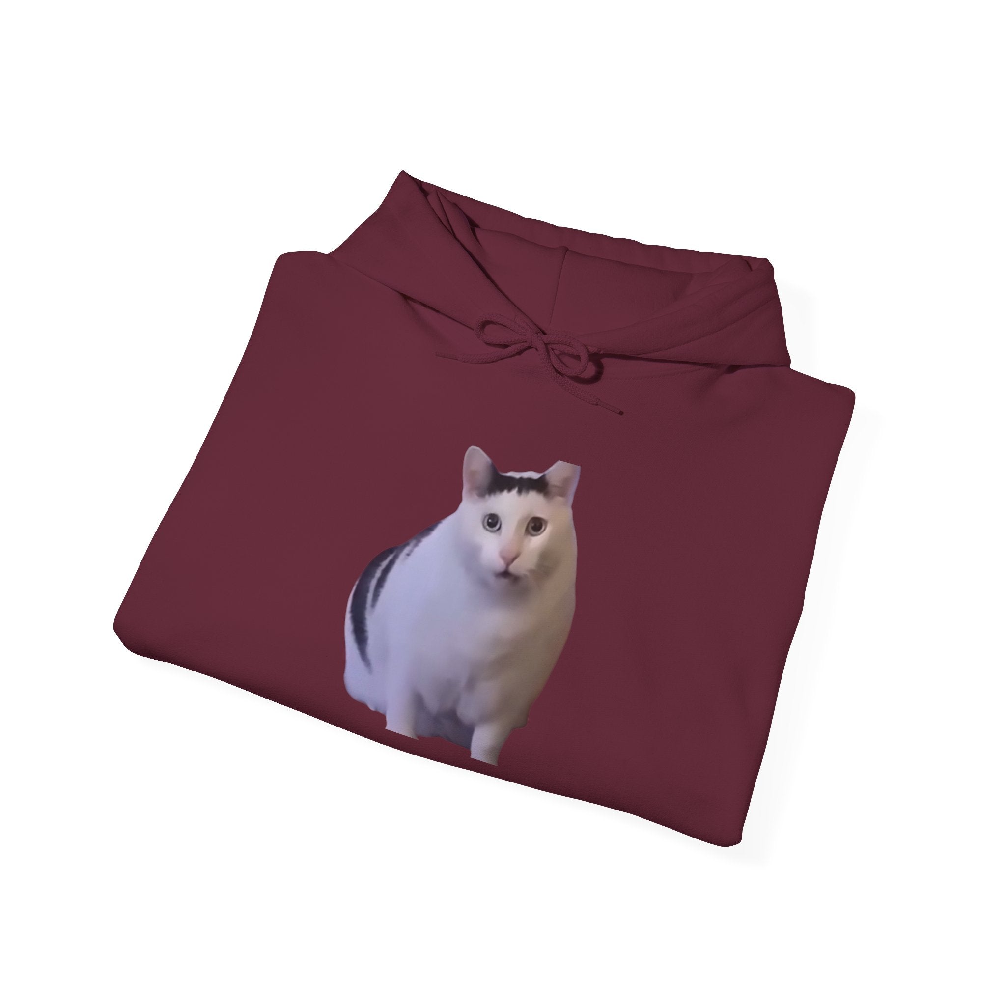 Cat Photo Hoodie – Cute Chubby Cat Pullover