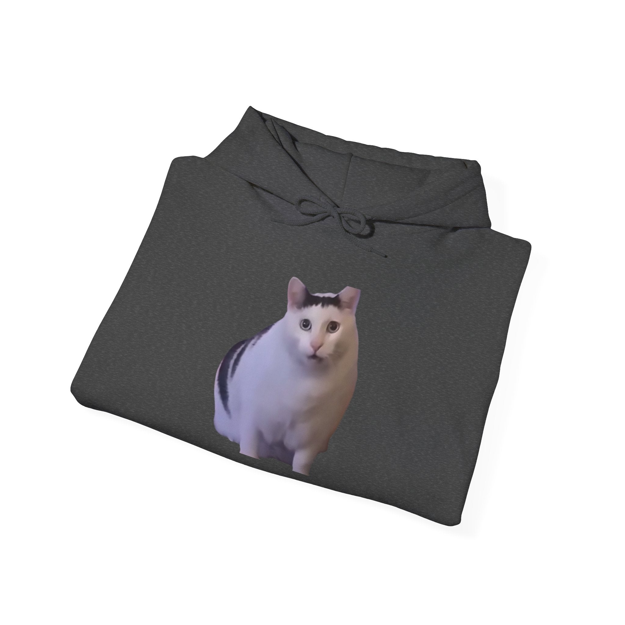 Cat Photo Hoodie – Cute Chubby Cat Pullover