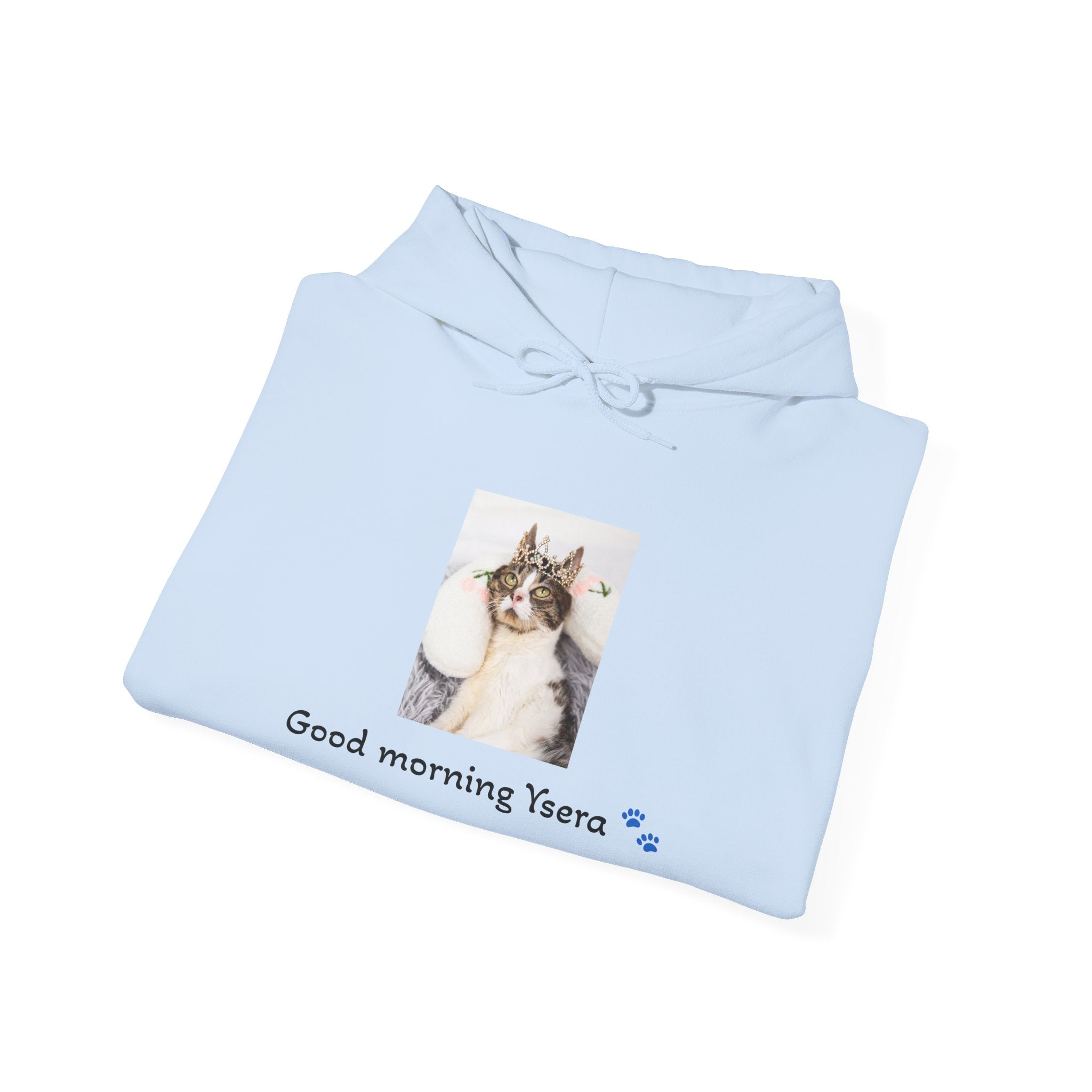 Copy of Cat Memorial Hoodie — "Good morning Ysera" Tribute