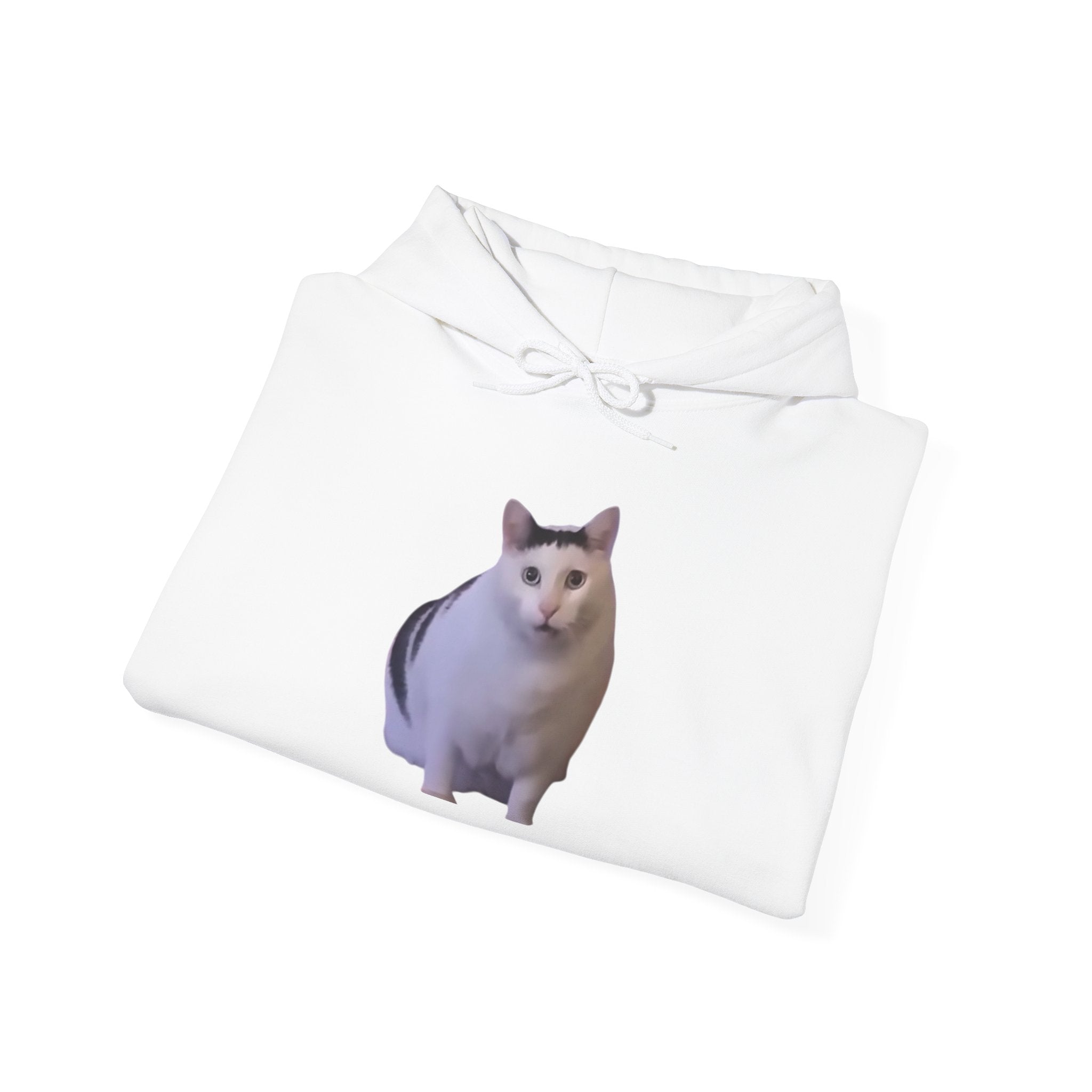 Cat Meme Hoodie — 'HUUUUUUUH' Funny Viral Cat Photo