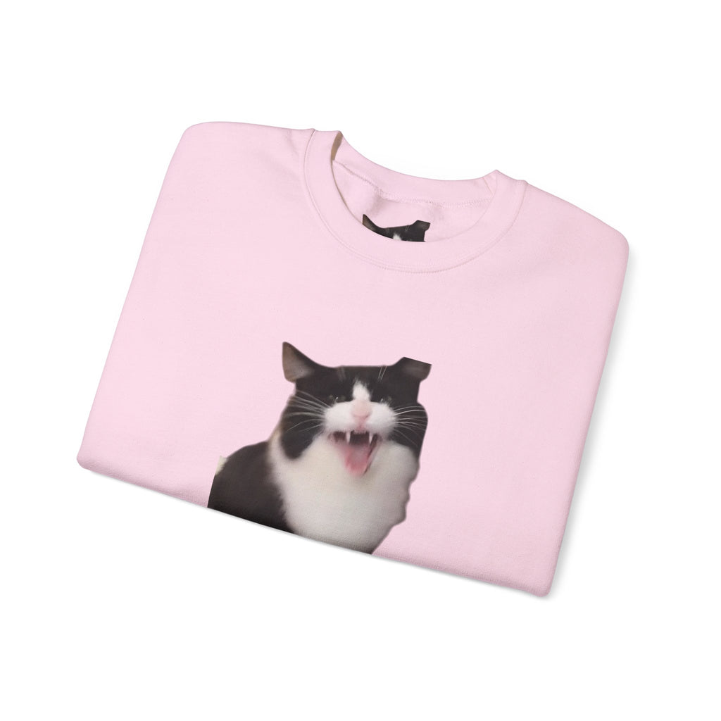 Crewneck Sweatshirt — 'Mr Chief, face the camera!' Funny Black & White Cat Photo Pullover