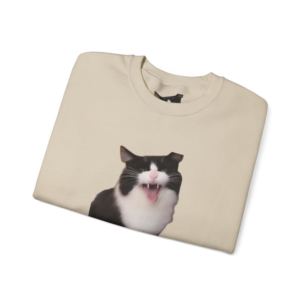 Crewneck Sweatshirt — 'Mr Chief, face the camera!' Funny Black & White Cat Photo Pullover