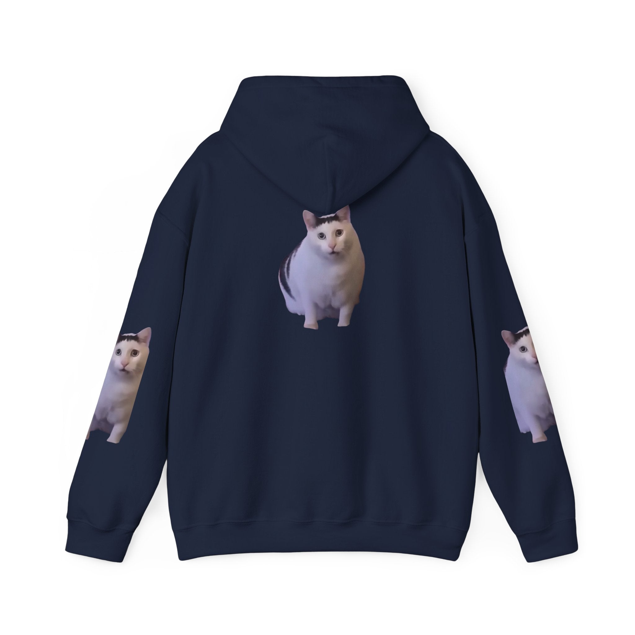 Cat Photo Hoodie – Cute Chubby Cat Pullover