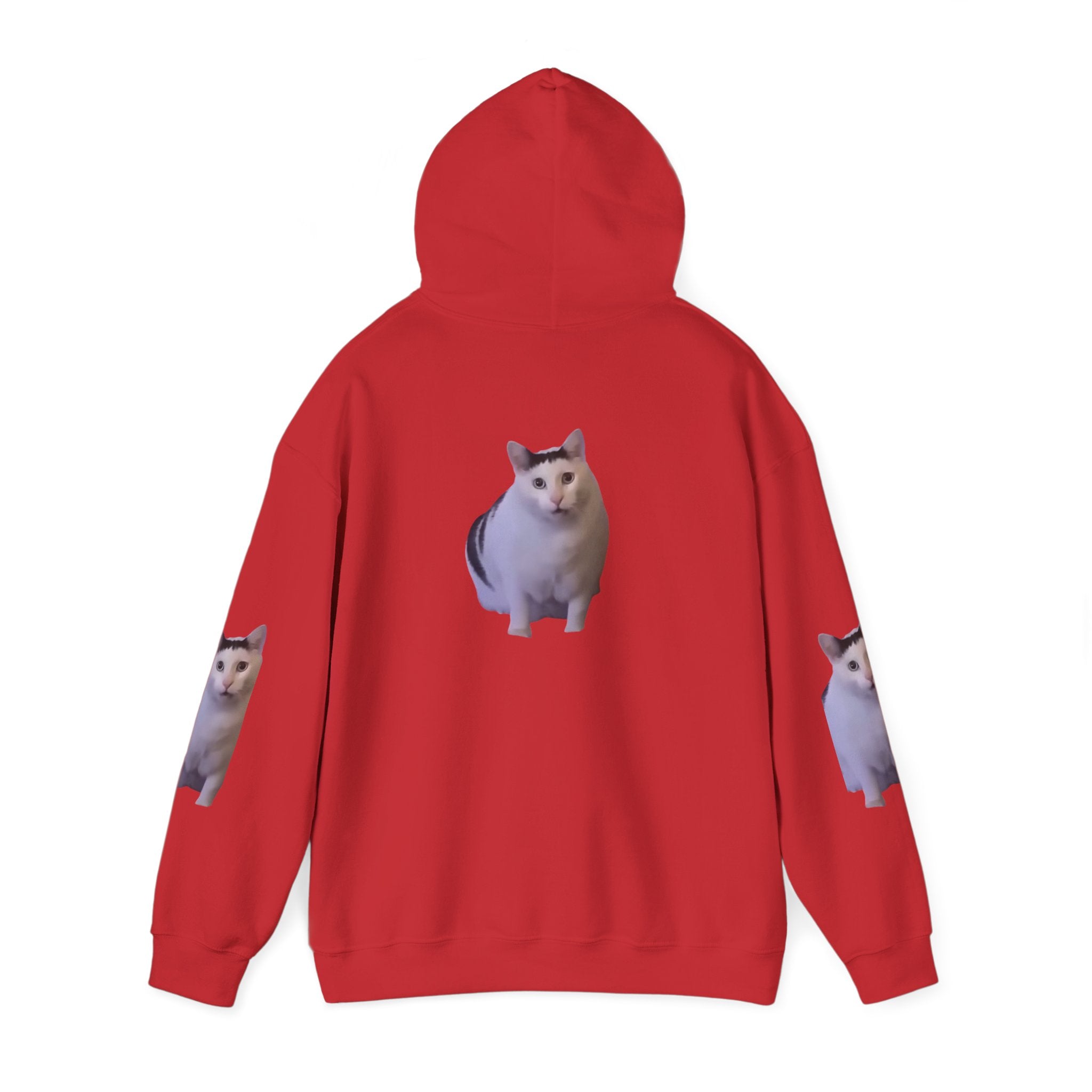 Cat Photo Hoodie – Cute Chubby Cat Pullover