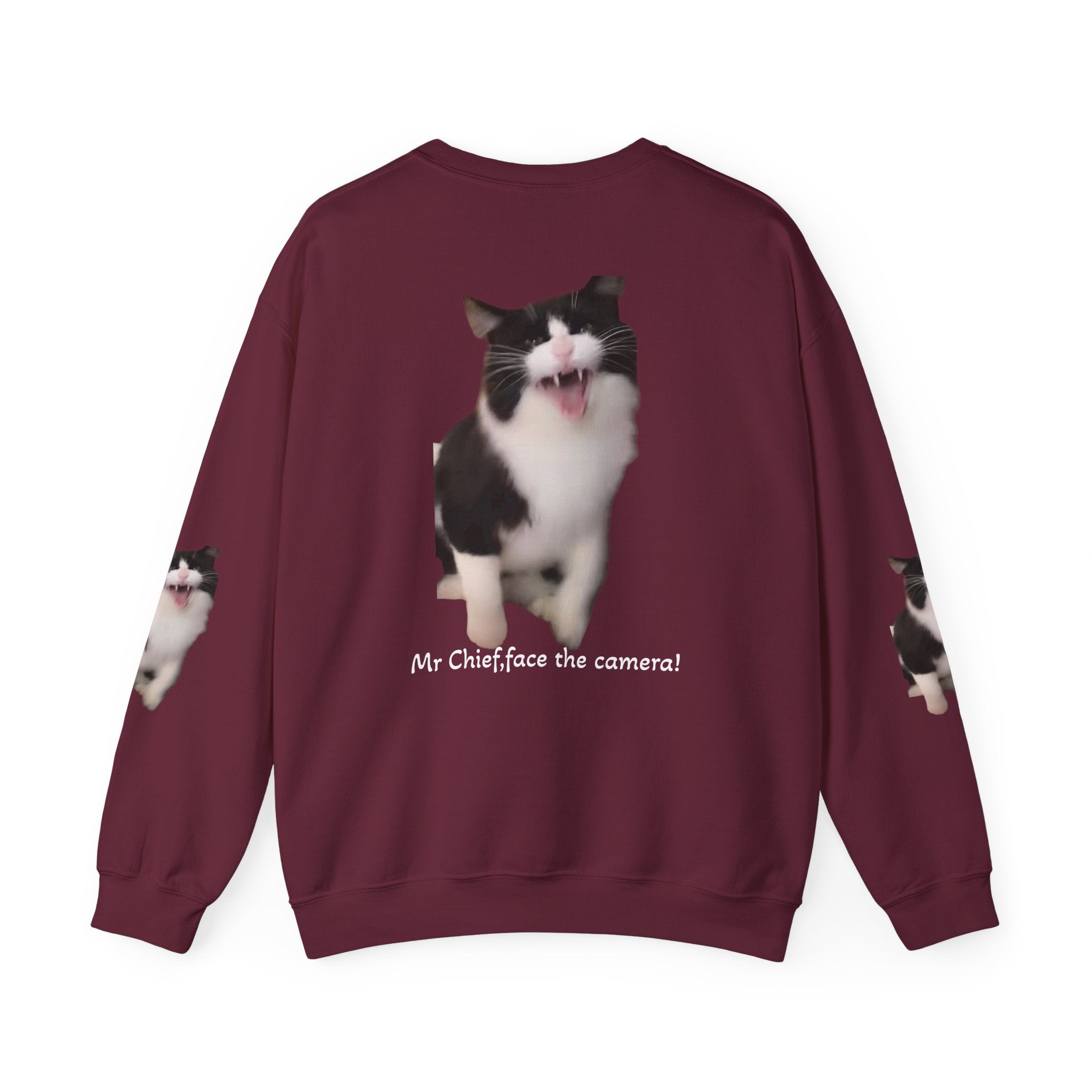 Copy of Crewneck Sweatshirt — 'Mr Chief, face the camera!' Funny Black & White Cat Photo Pullover
