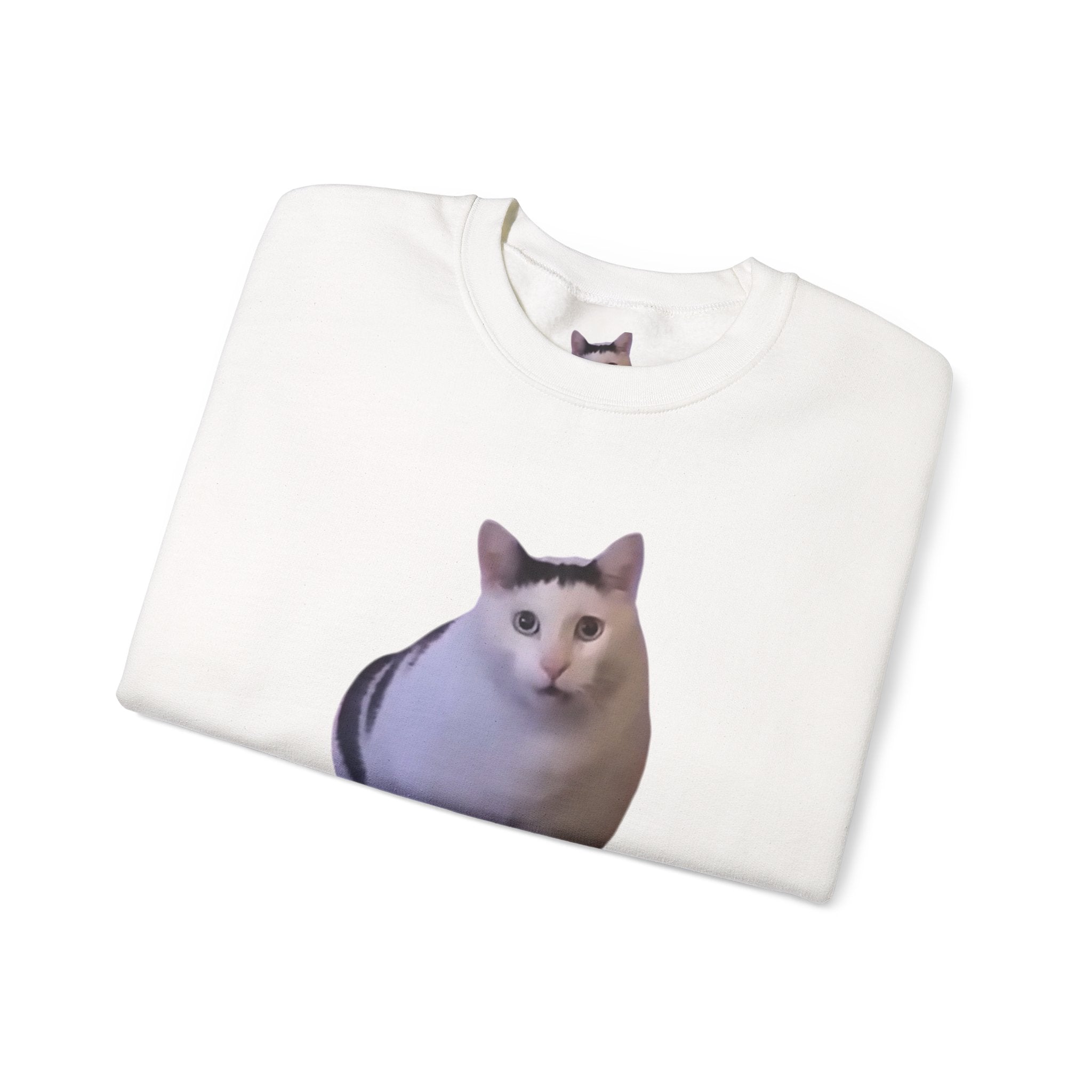 Cat Meme Sweatshirt — 'HUUUUUUH' Funny Photo Crewneck
