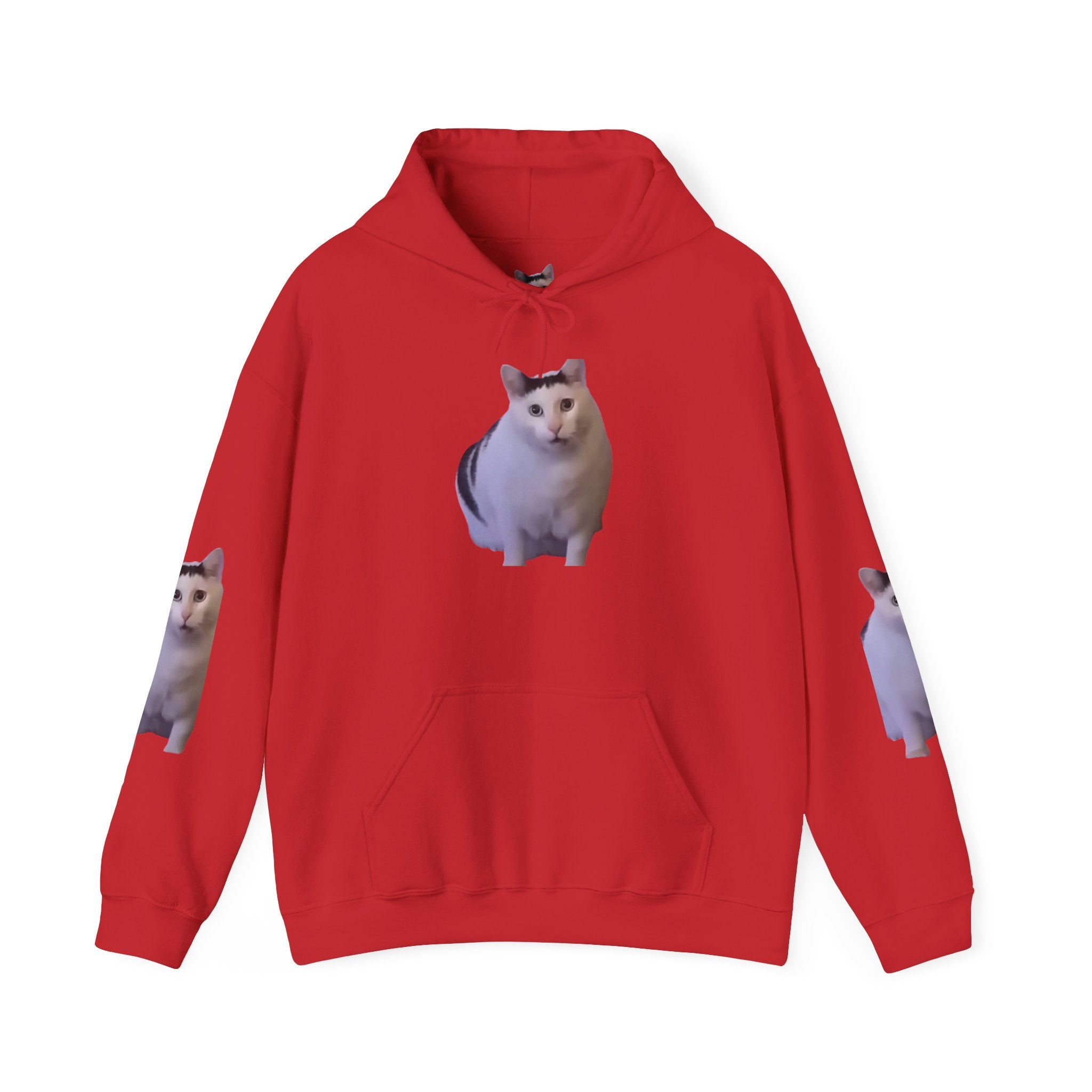 Cat Photo Hoodie – Cute Chubby Cat Pullover