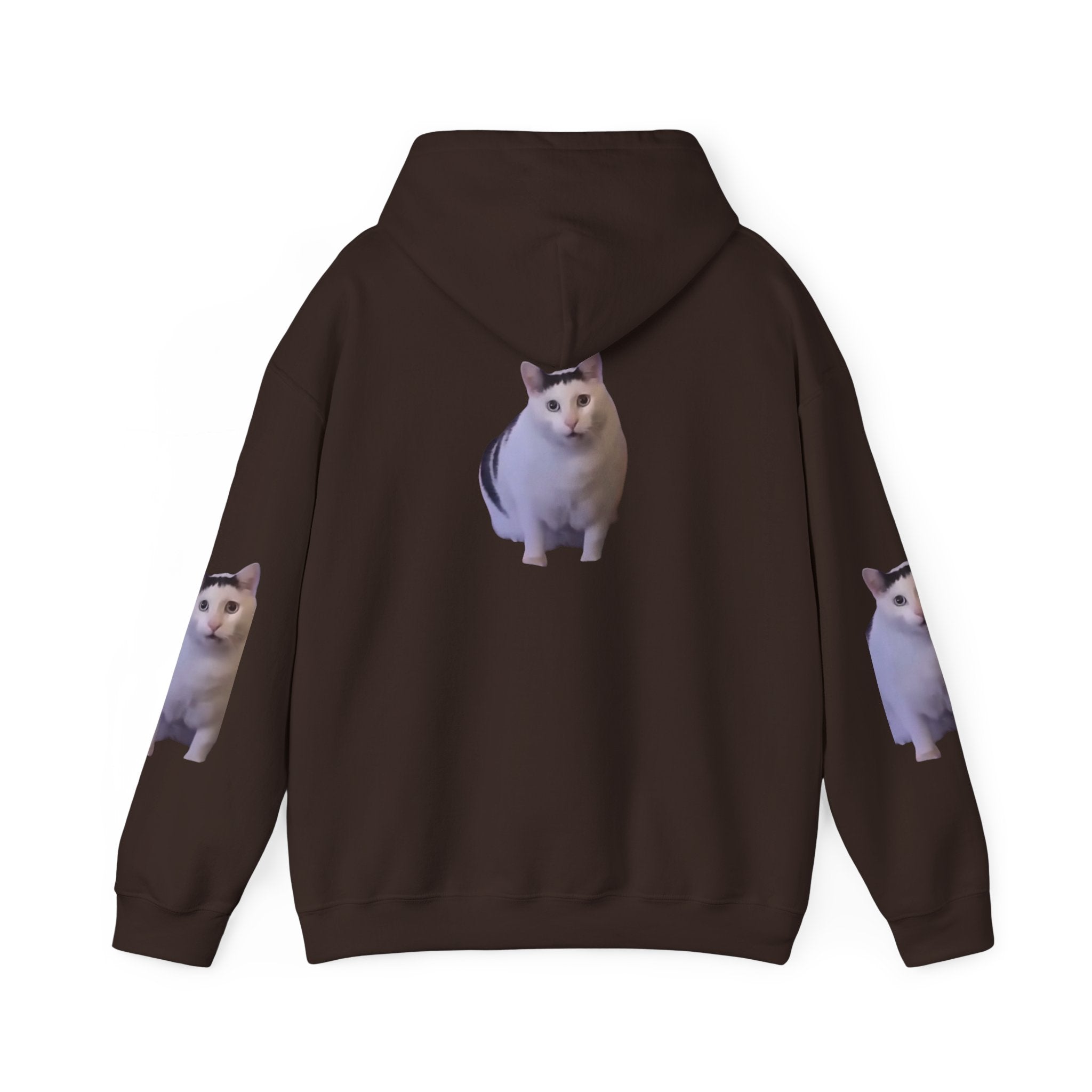 Cat Photo Hoodie – Cute Chubby Cat Pullover