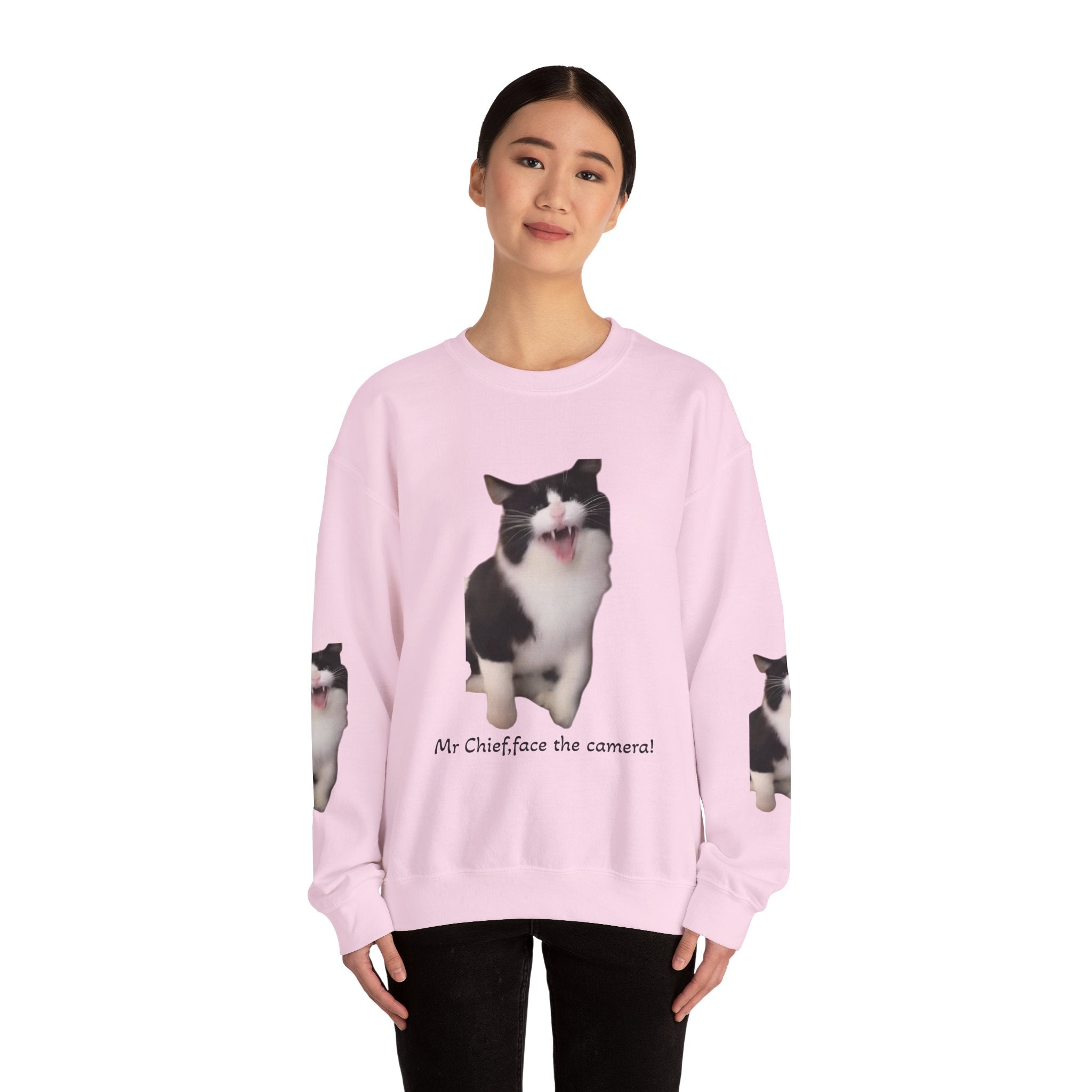 Crewneck Sweatshirt — 'Mr Chief, face the camera!' Funny Black & White Cat Photo Pullover