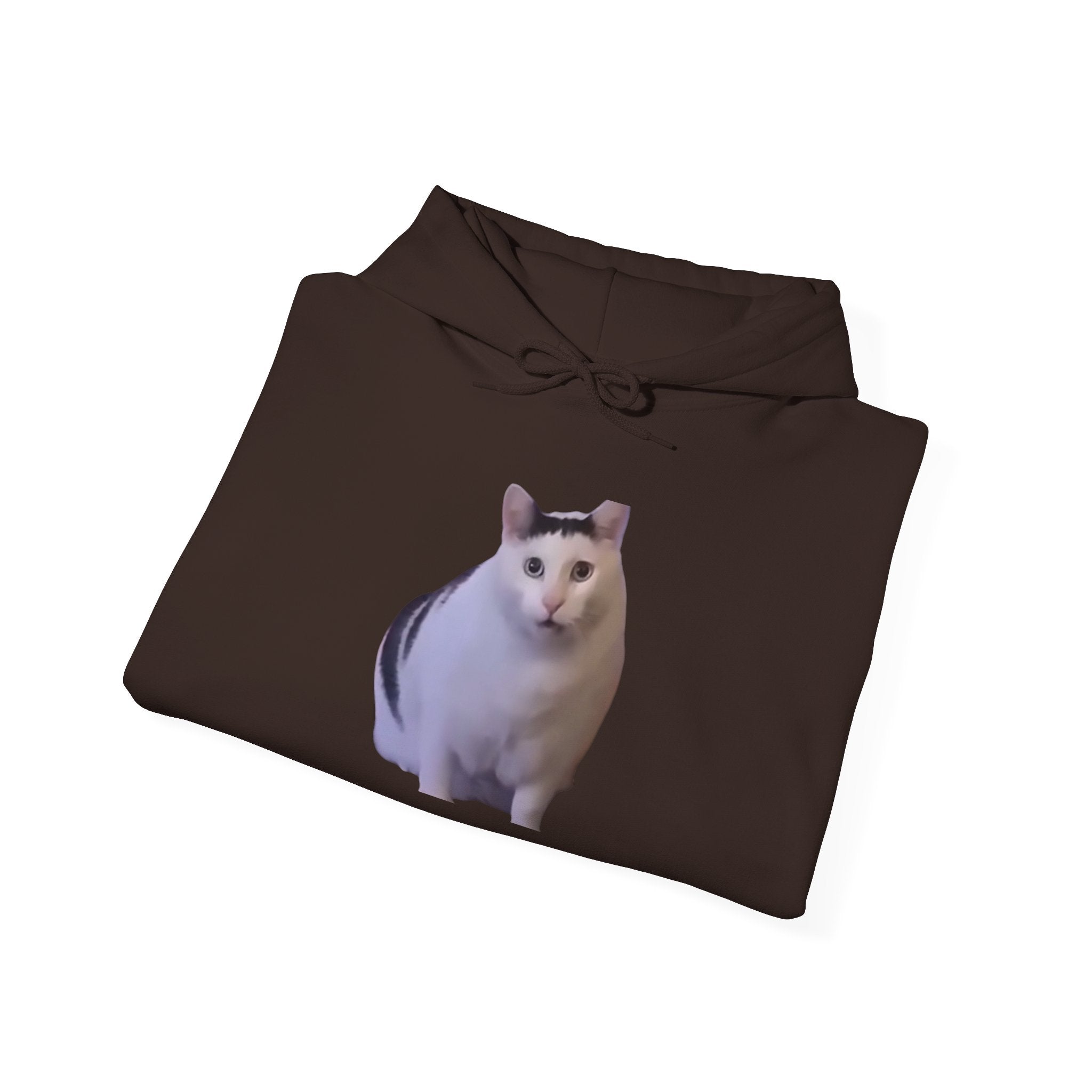 Cat Photo Hoodie – Cute Chubby Cat Pullover