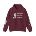 Cat Photo Hoodie — "Mr Chief, face the camera!" Novelty Cat Lover