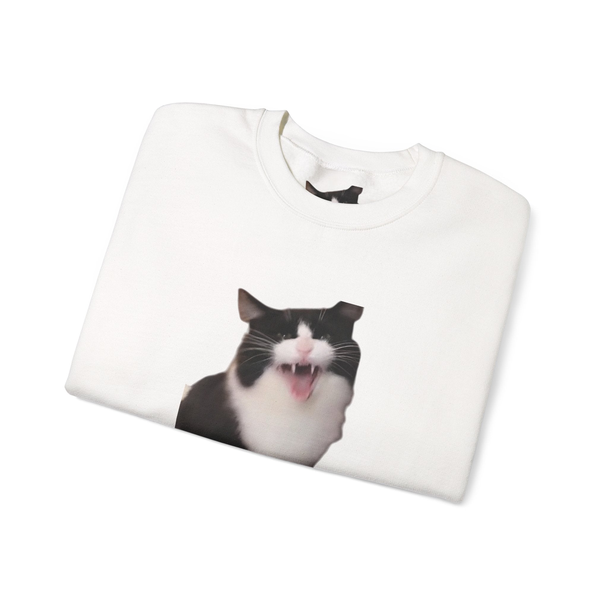 Crewneck Sweatshirt — 'Mr Chief, face the camera!' Funny Black & White Cat Photo Pullover