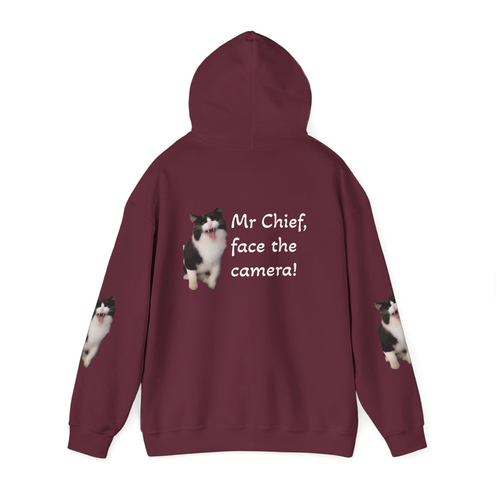 Cat Photo Hoodie — "Mr Chief, face the camera!" Novelty Cat Lover