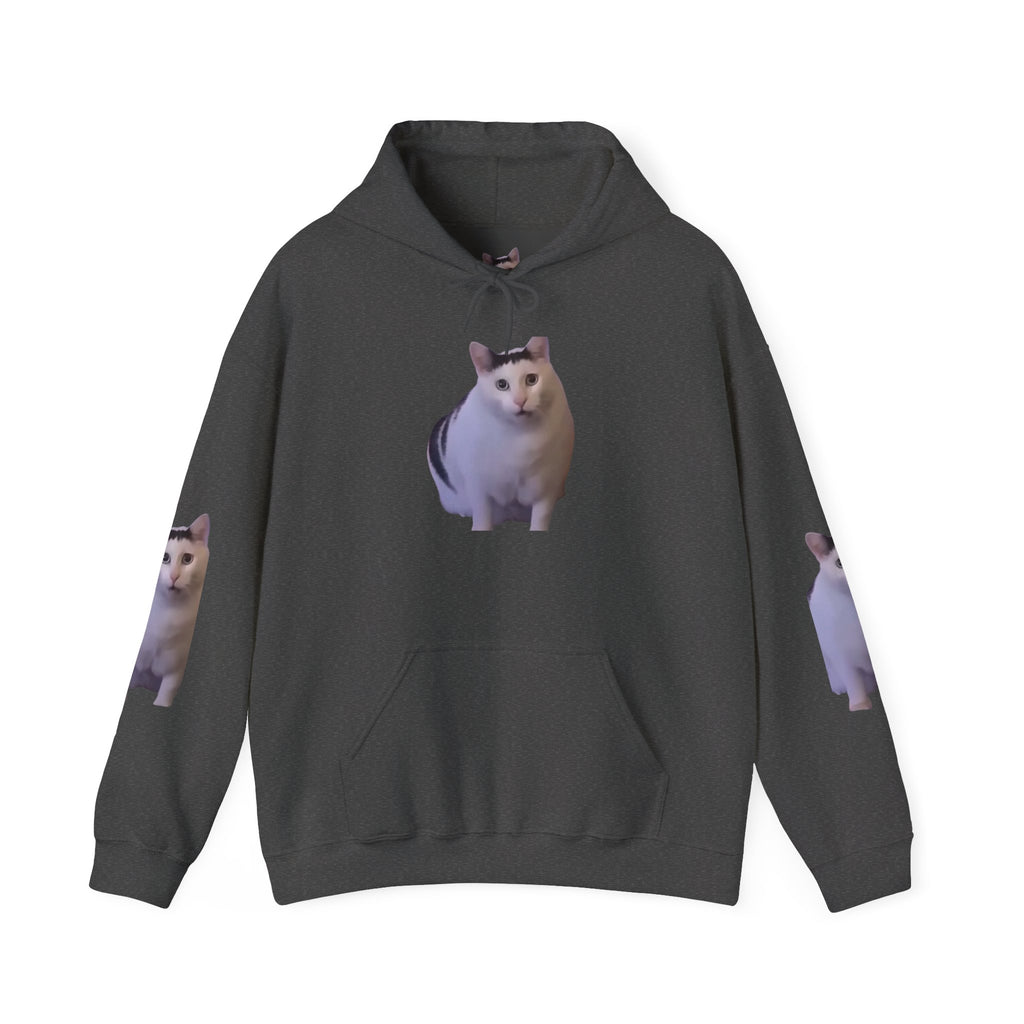 Cat Photo Hoodie – Cute Chubby Cat Pullover