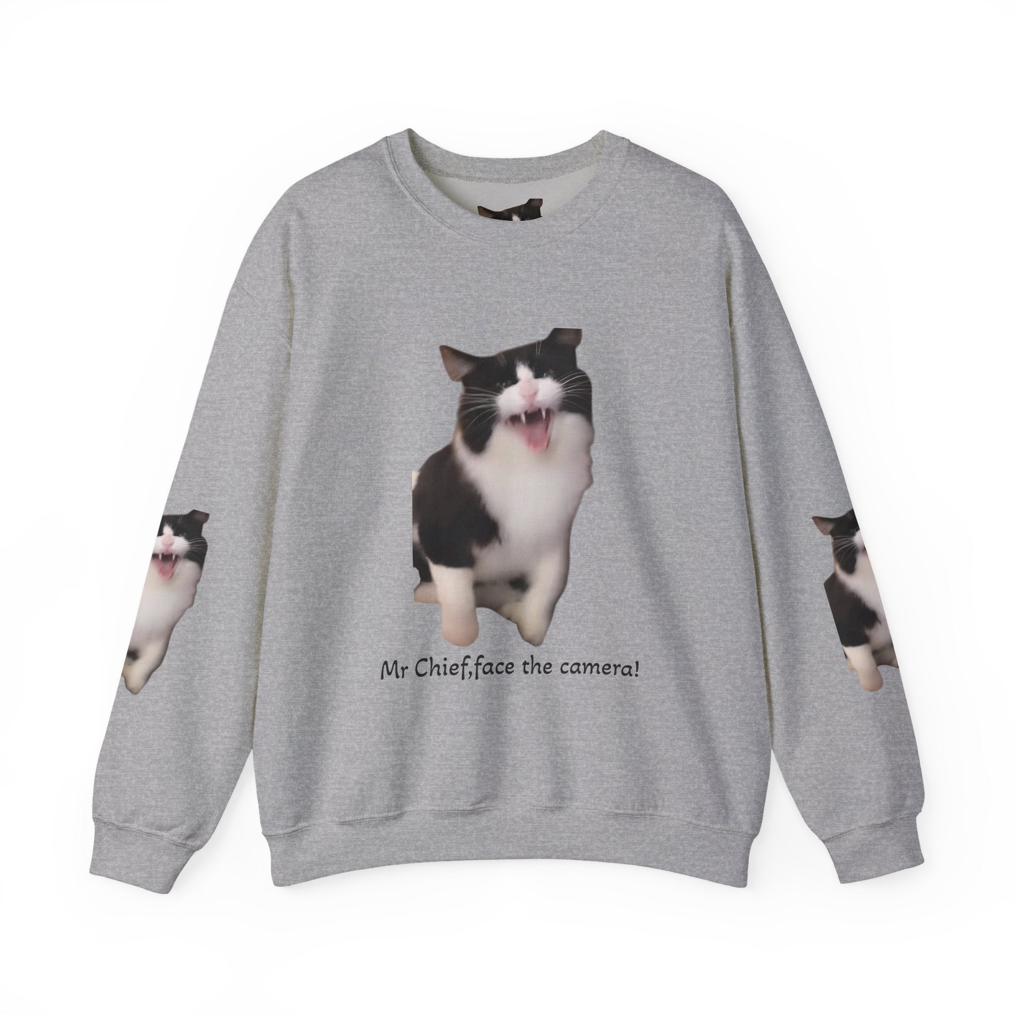 Crewneck Sweatshirt — 'Mr Chief, face the camera!' Funny Black & White Cat Photo Pullover