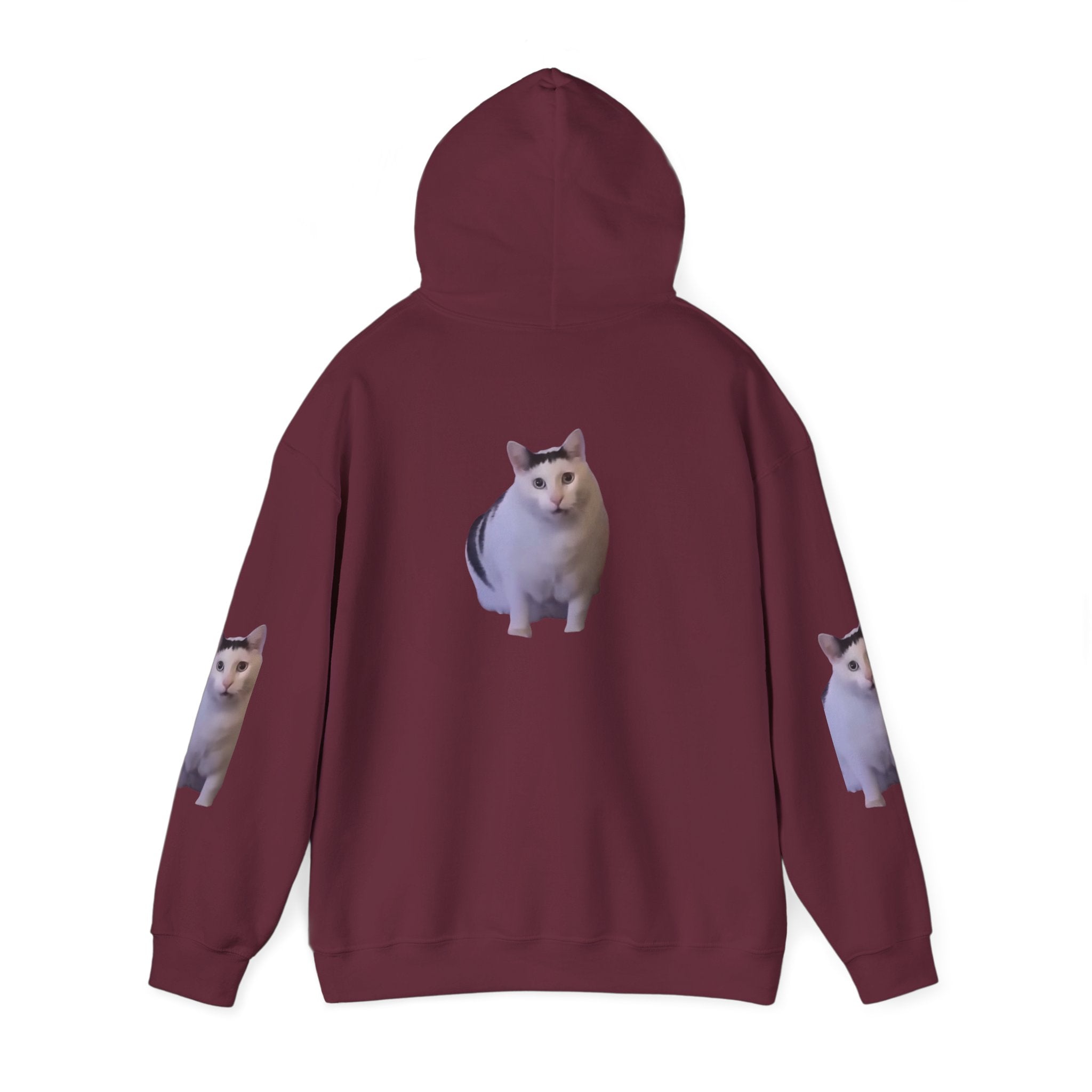 Cat Photo Hoodie – Cute Chubby Cat Pullover