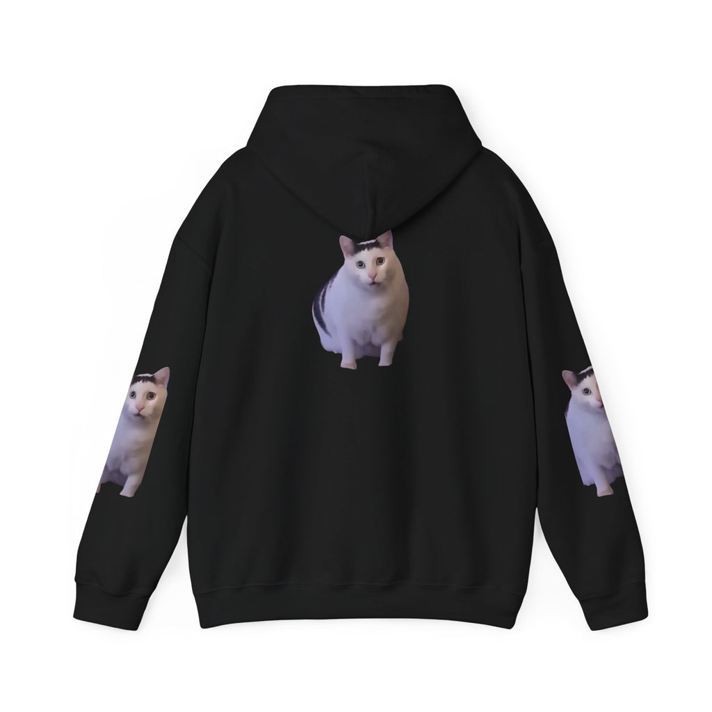 Cat Photo Hoodie – Cute Chubby Cat Pullover