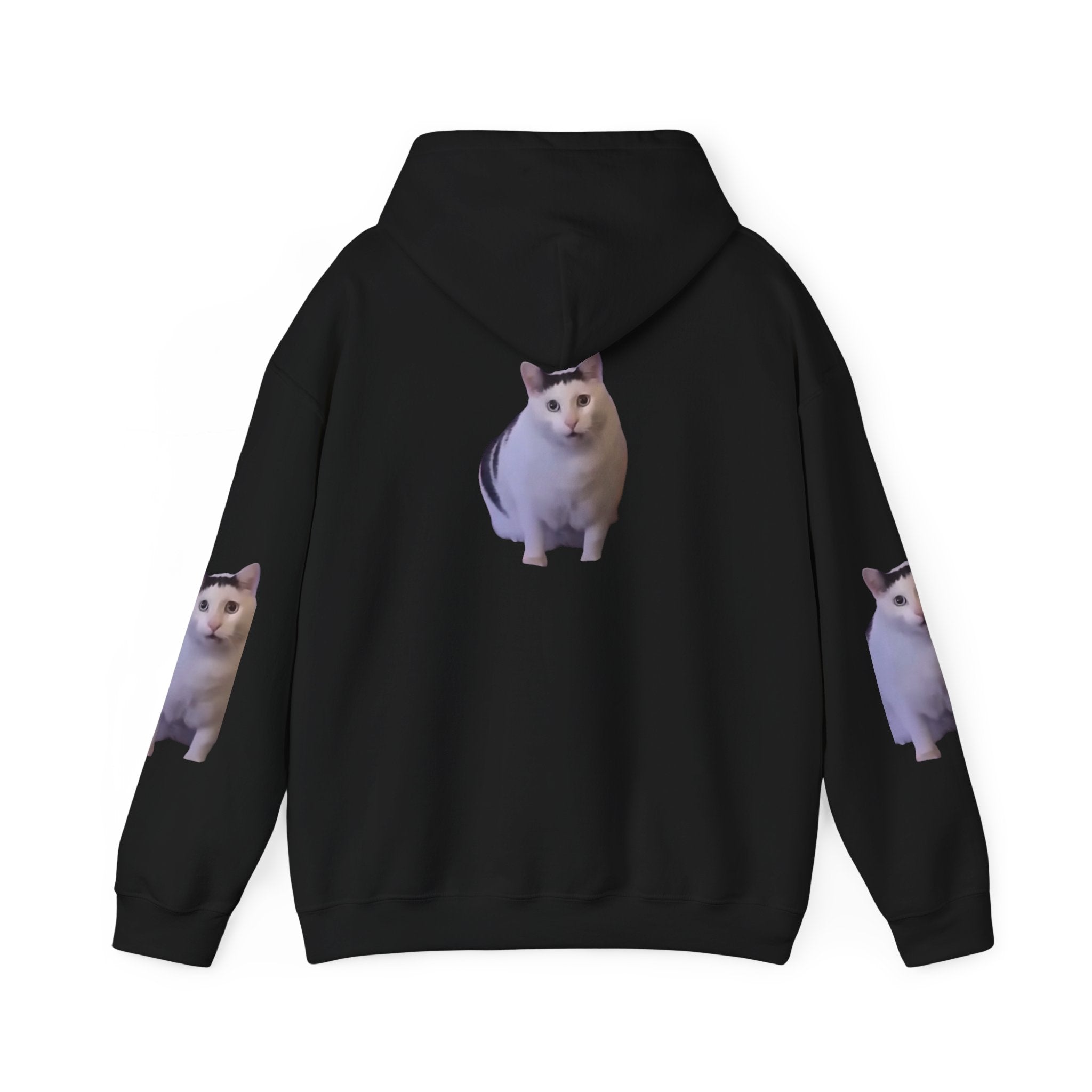 Cat Photo Hoodie – Cute Chubby Cat Pullover