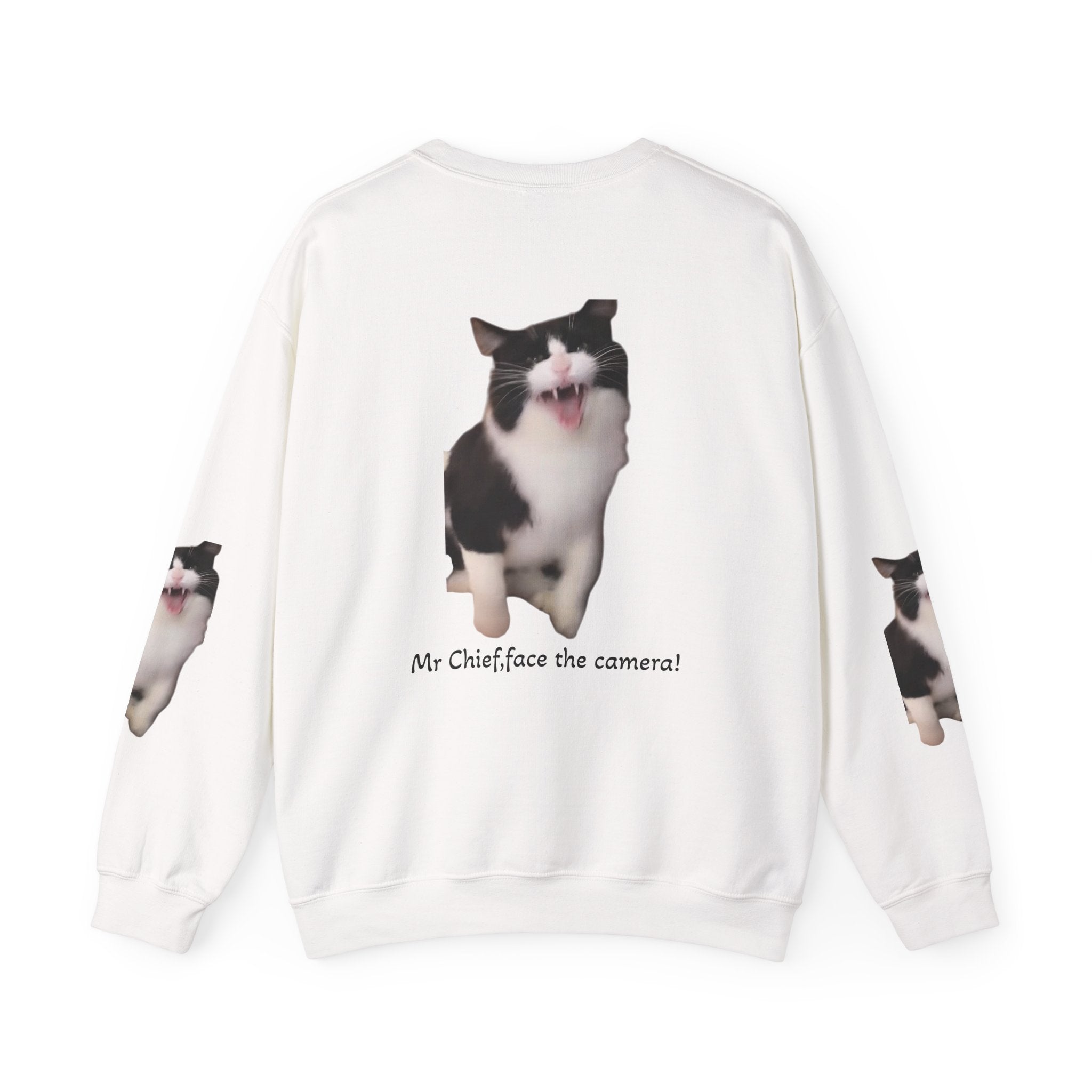Crewneck Sweatshirt — 'Mr Chief, face the camera!' Funny Black & White Cat Photo Pullover