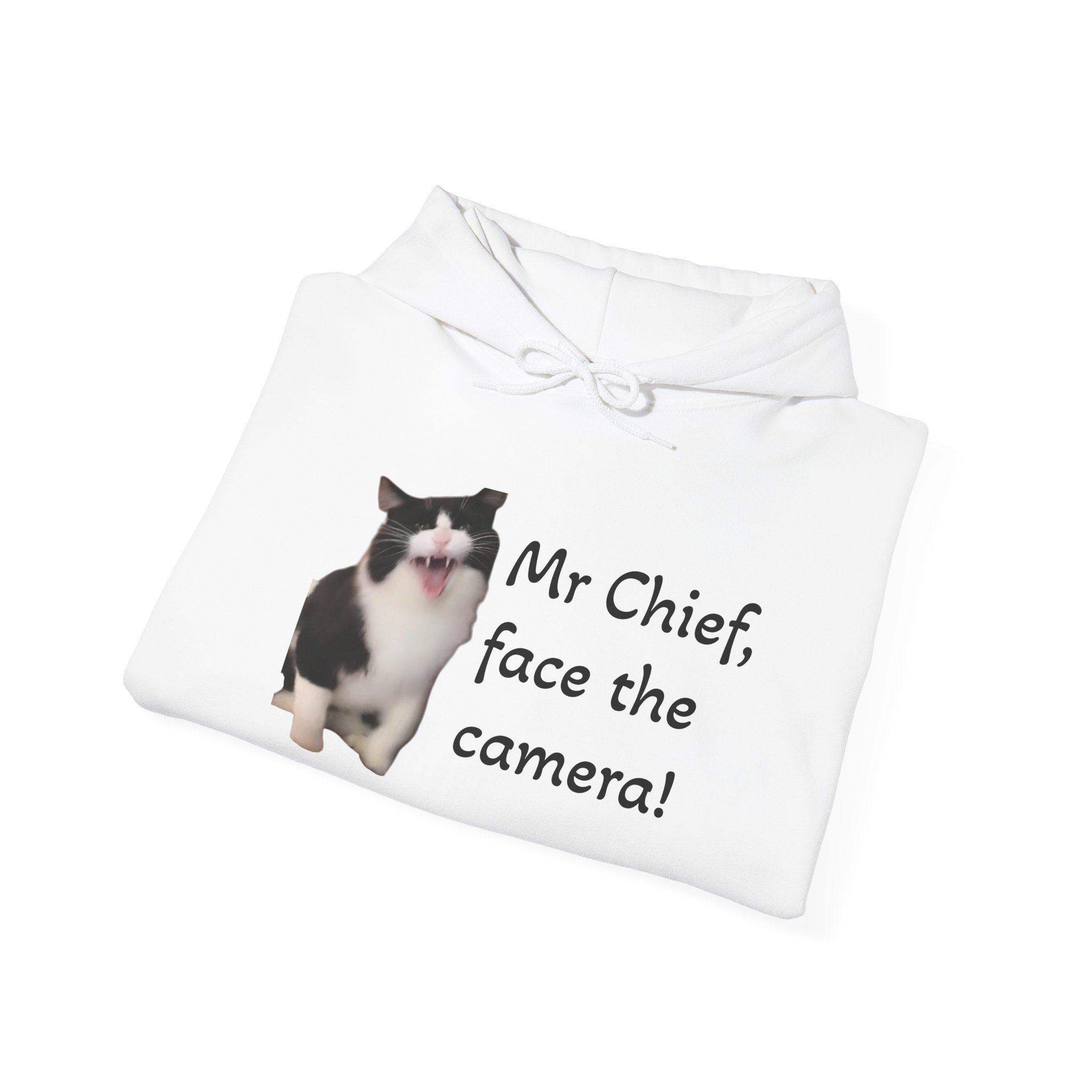 Cat Photo Hoodie — "Mr Chief, face the camera!" Cute Tuxedo Cat Portrait Sweatshirt