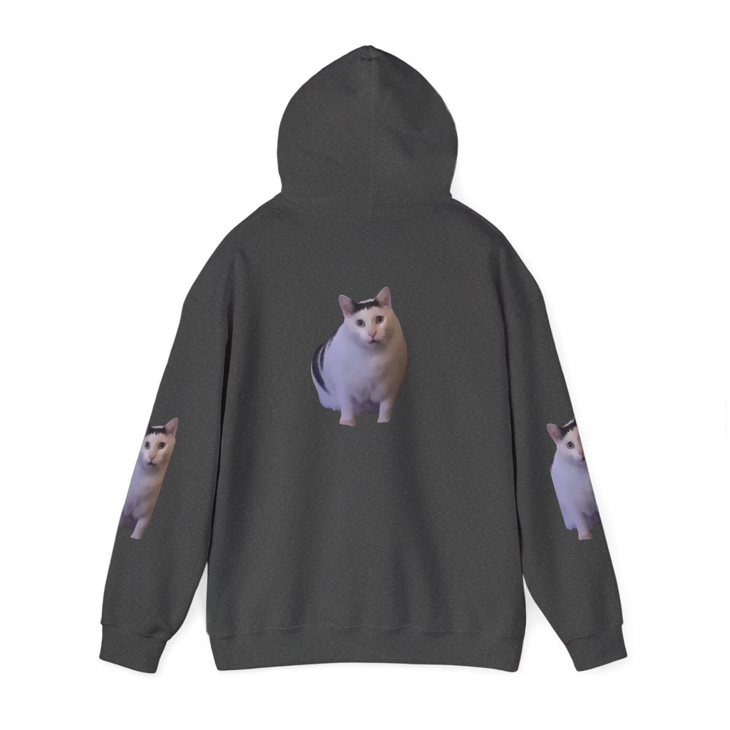 Cat Photo Hoodie – Cute Chubby Cat Pullover
