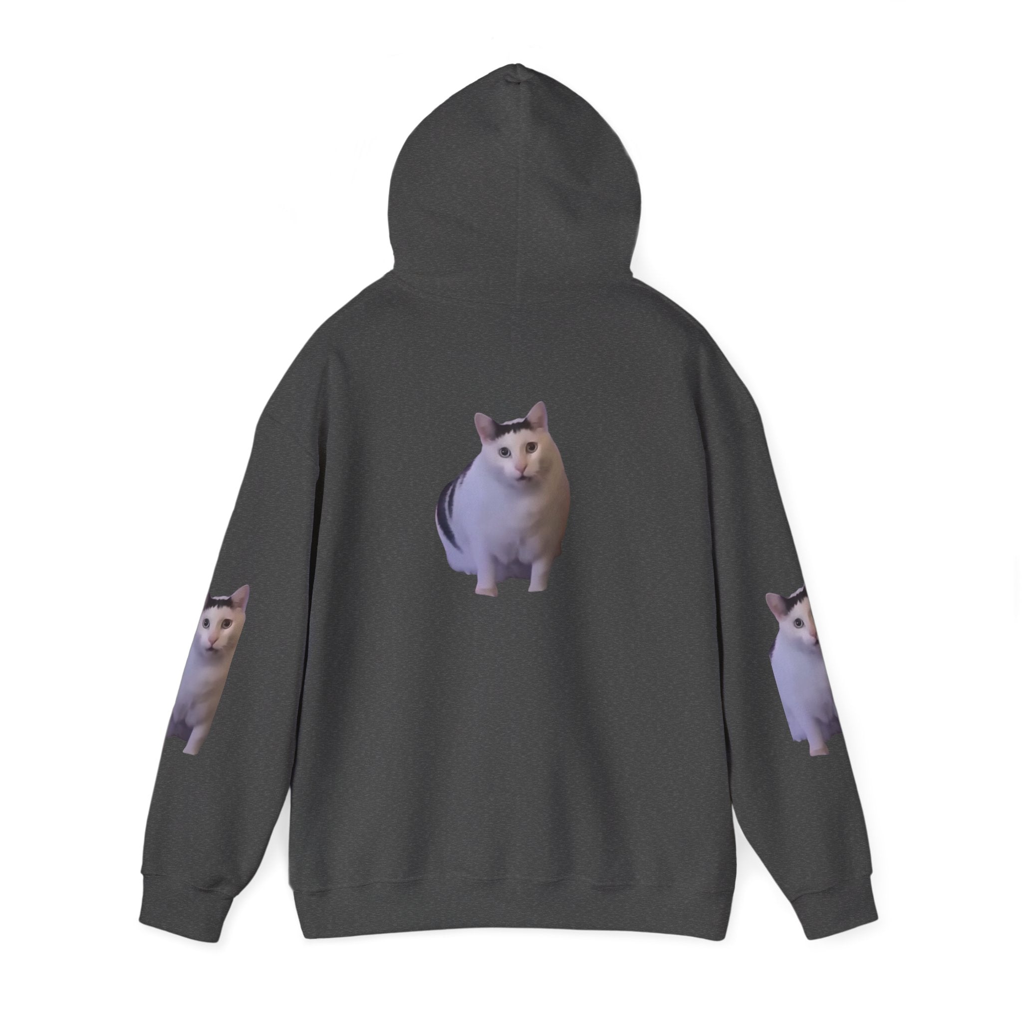 Cat Photo Hoodie – Cute Chubby Cat Pullover