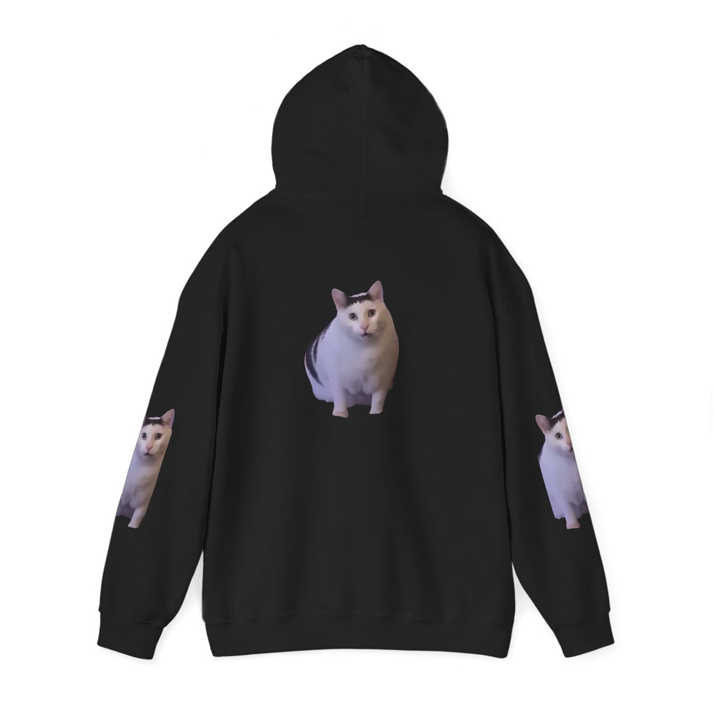Cat Photo Hoodie – Cute Chubby Cat Pullover