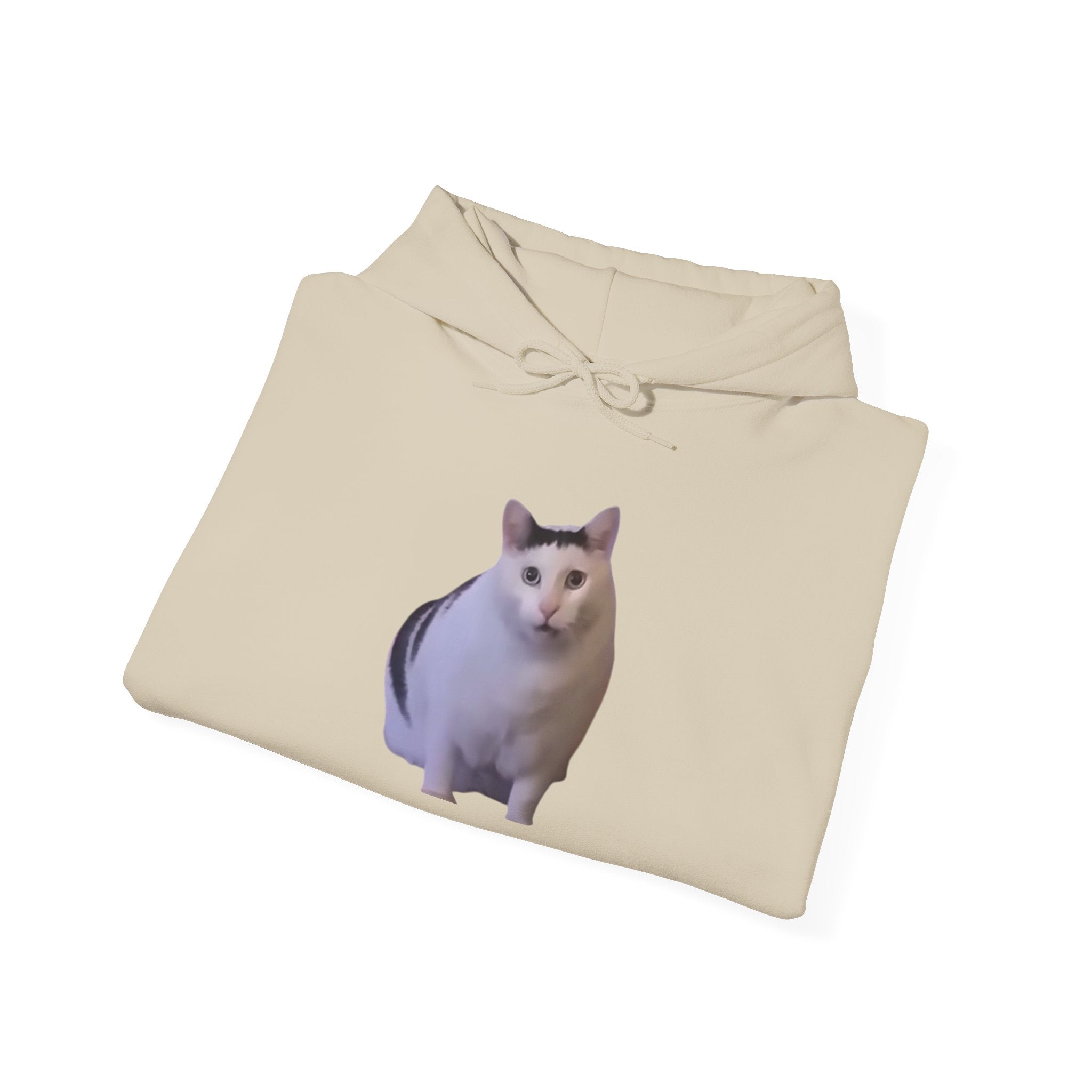 Cat Meme Hoodie — 'HUUUUUUUH' Funny Viral Cat Photo