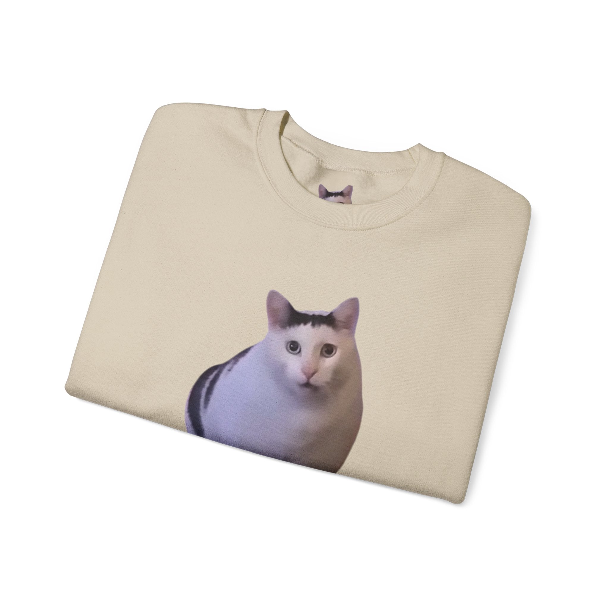 Cat Meme Sweatshirt — 'HUUUUUUH' Funny Photo Crewneck