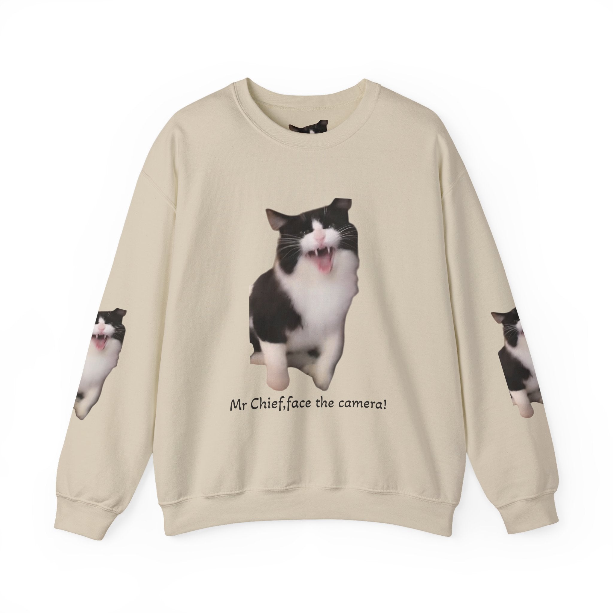 Crewneck Sweatshirt — 'Mr Chief, face the camera!' Funny Black & White Cat Photo Pullover