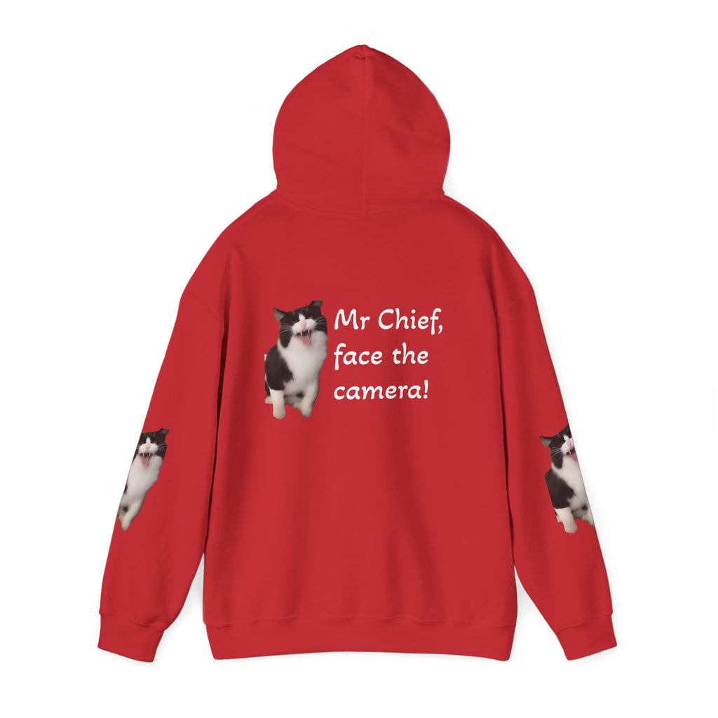 Cat Photo Hoodie — "Mr Chief, face the camera!" Novelty Cat Lover