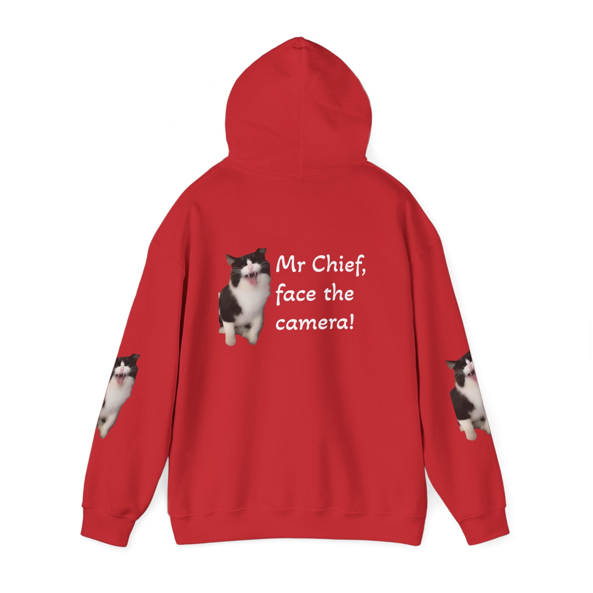 Cat Photo Hoodie — "Mr Chief, face the camera!" Novelty Cat Lover