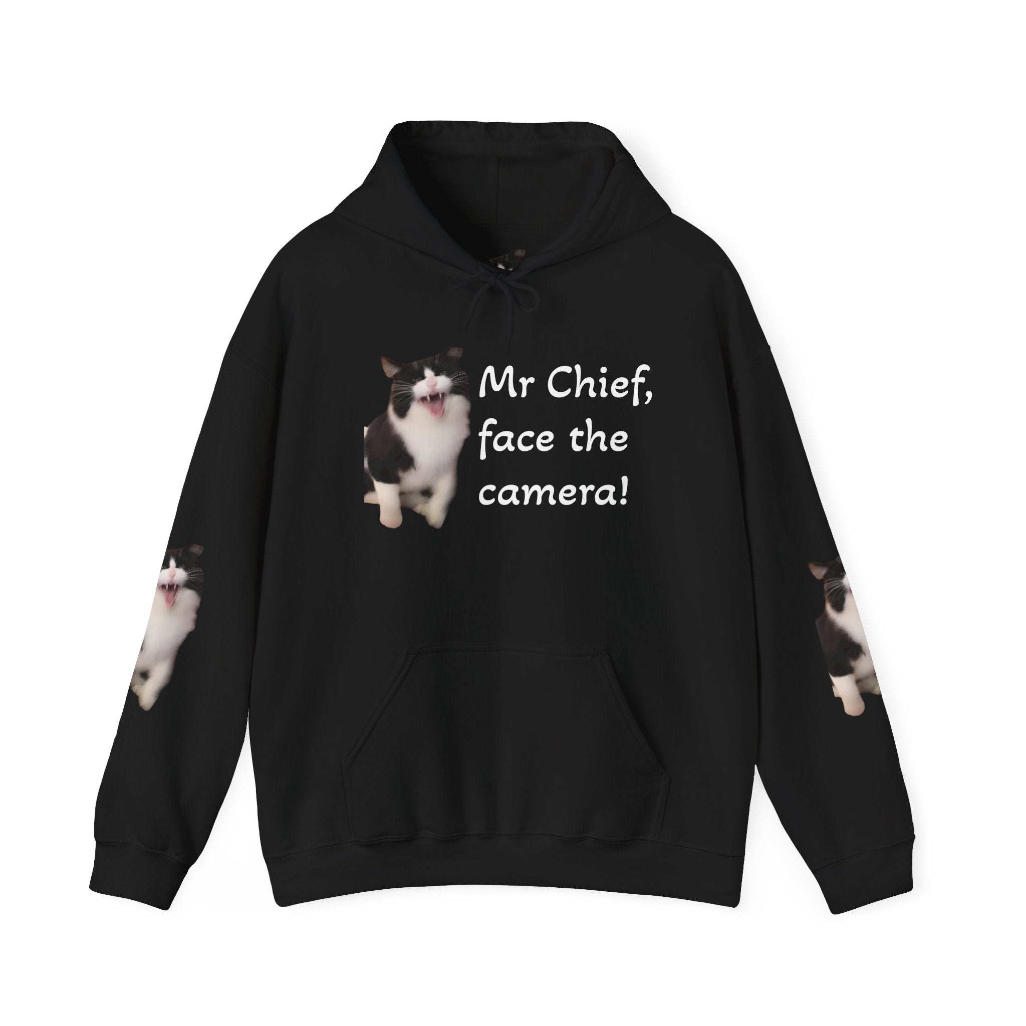 Cat Photo Hoodie — "Mr Chief, face the camera!" Novelty Cat Lover