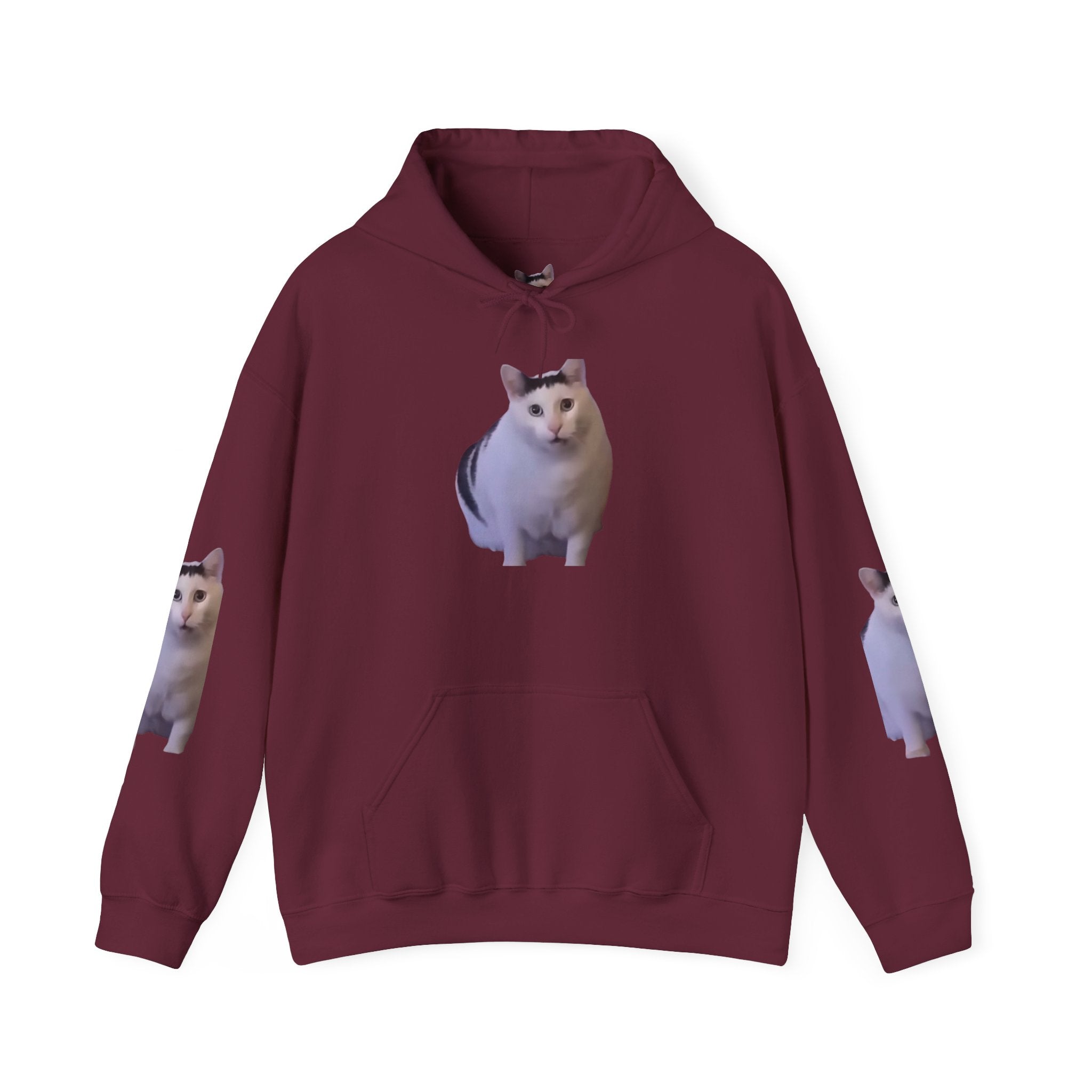 Cat Photo Hoodie – Cute Chubby Cat Pullover