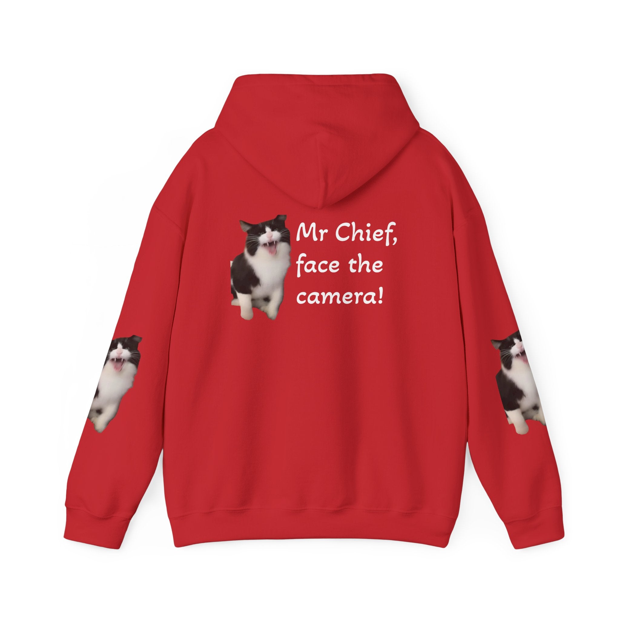 Cat Photo Hoodie — "Mr Chief, face the camera!" Novelty Cat Lover