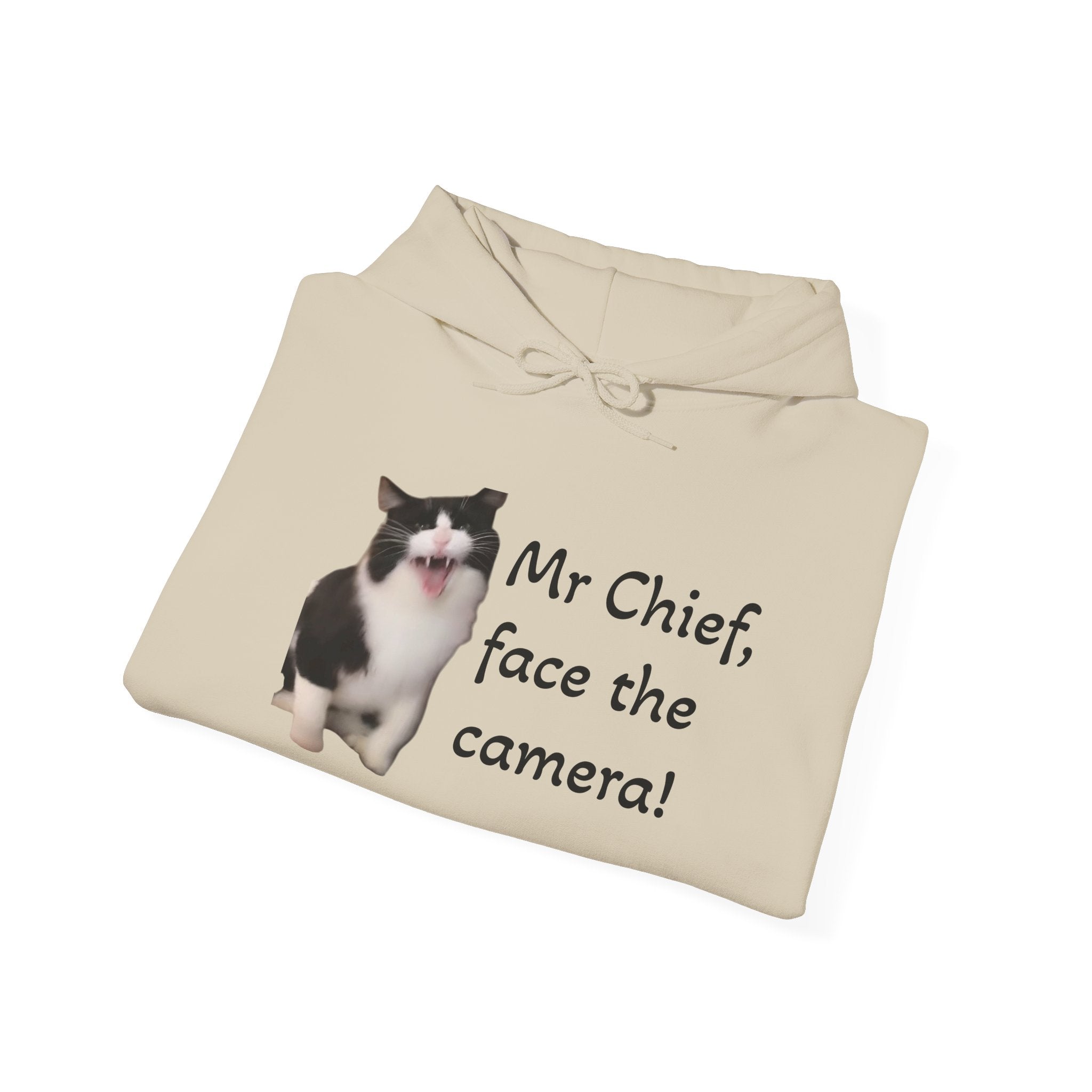 Cat Photo Hoodie — "Mr Chief, face the camera!" Cute Tuxedo Cat Portrait Sweatshirt