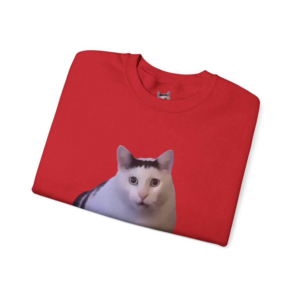 Cat Meme Sweatshirt — Funny 'HUUUUUUH' Photo Crewneck