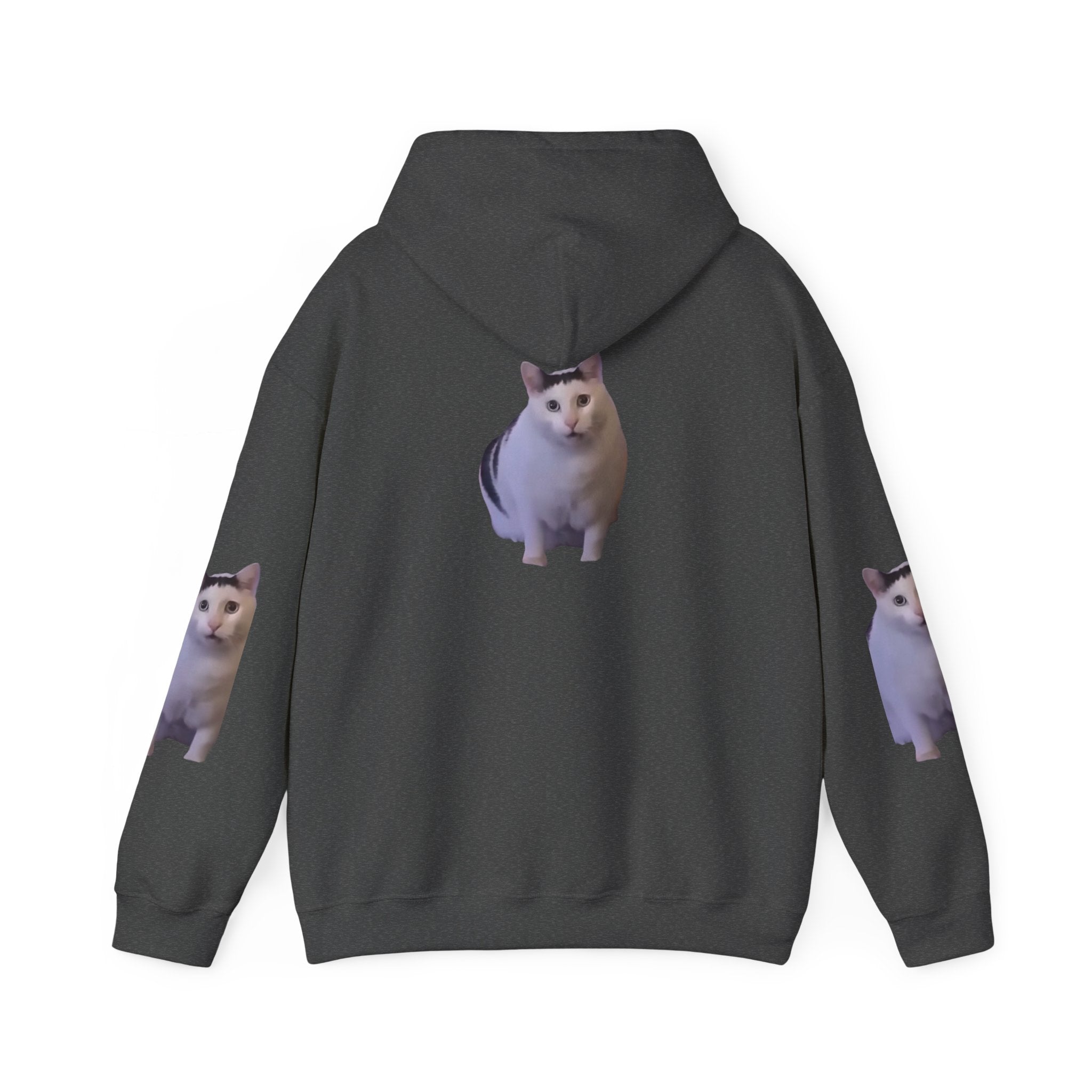 Cat Photo Hoodie – Cute Chubby Cat Pullover
