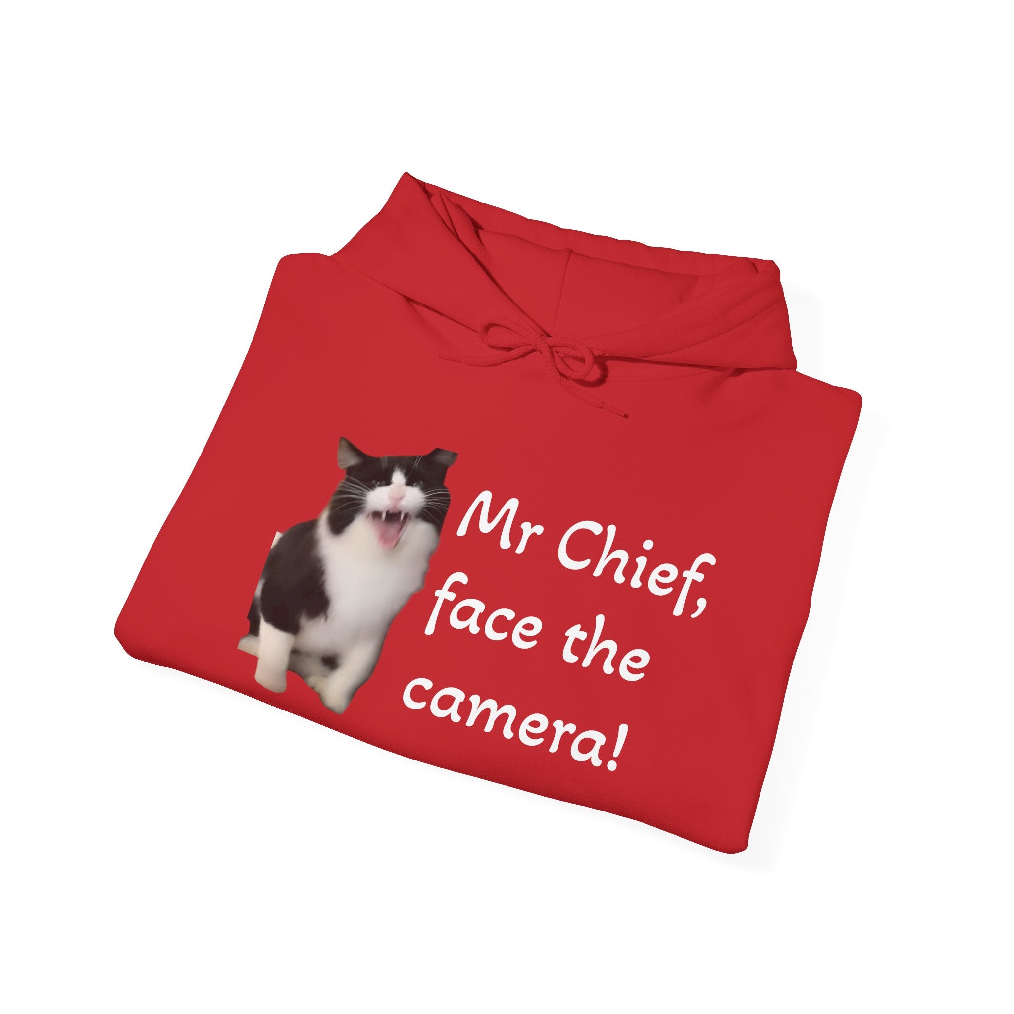 Cat Photo Hoodie — "Mr Chief, face the camera!" Novelty Cat Lover