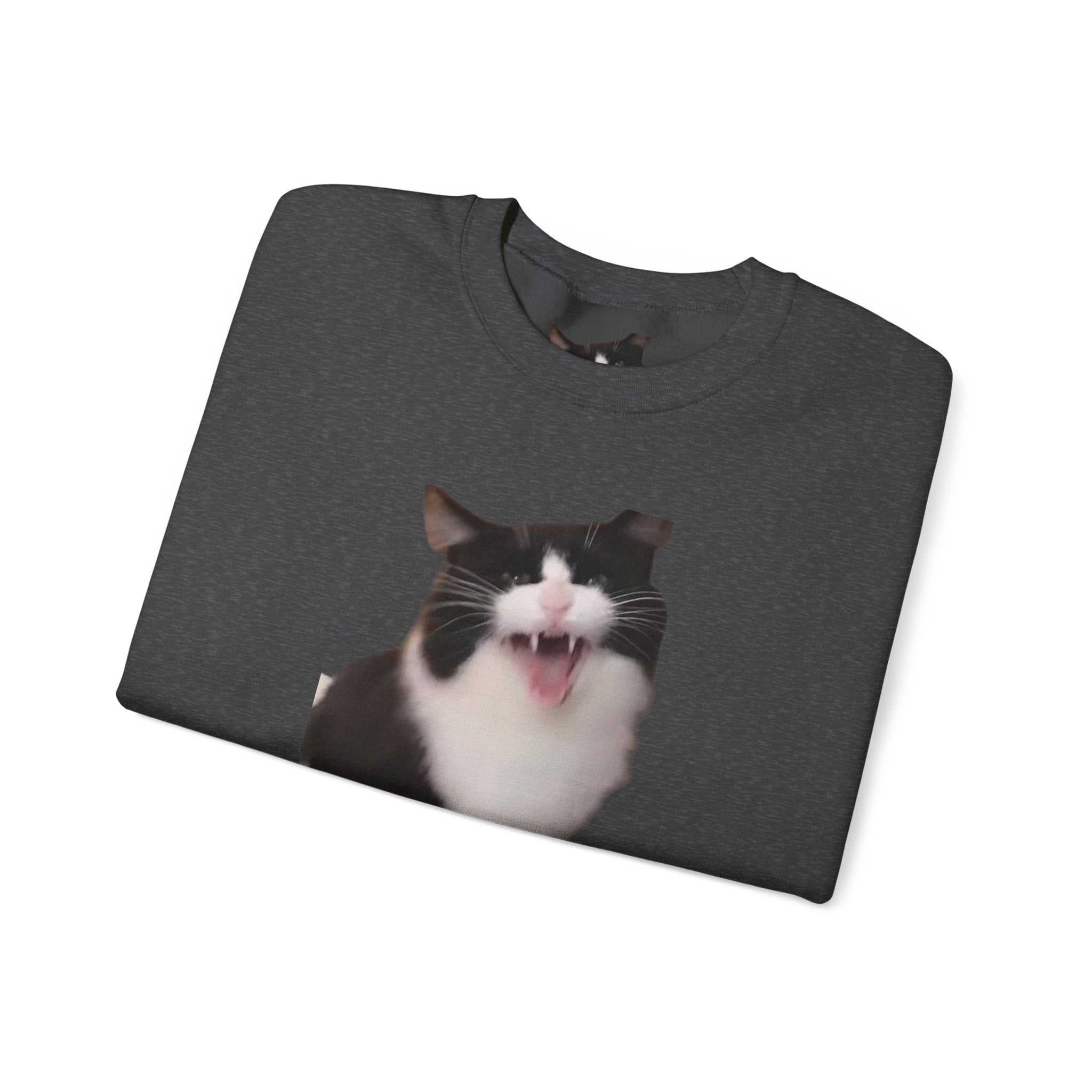 Copy of Crewneck Sweatshirt — 'Mr Chief, face the camera!' Funny Black & White Cat Photo Pullover