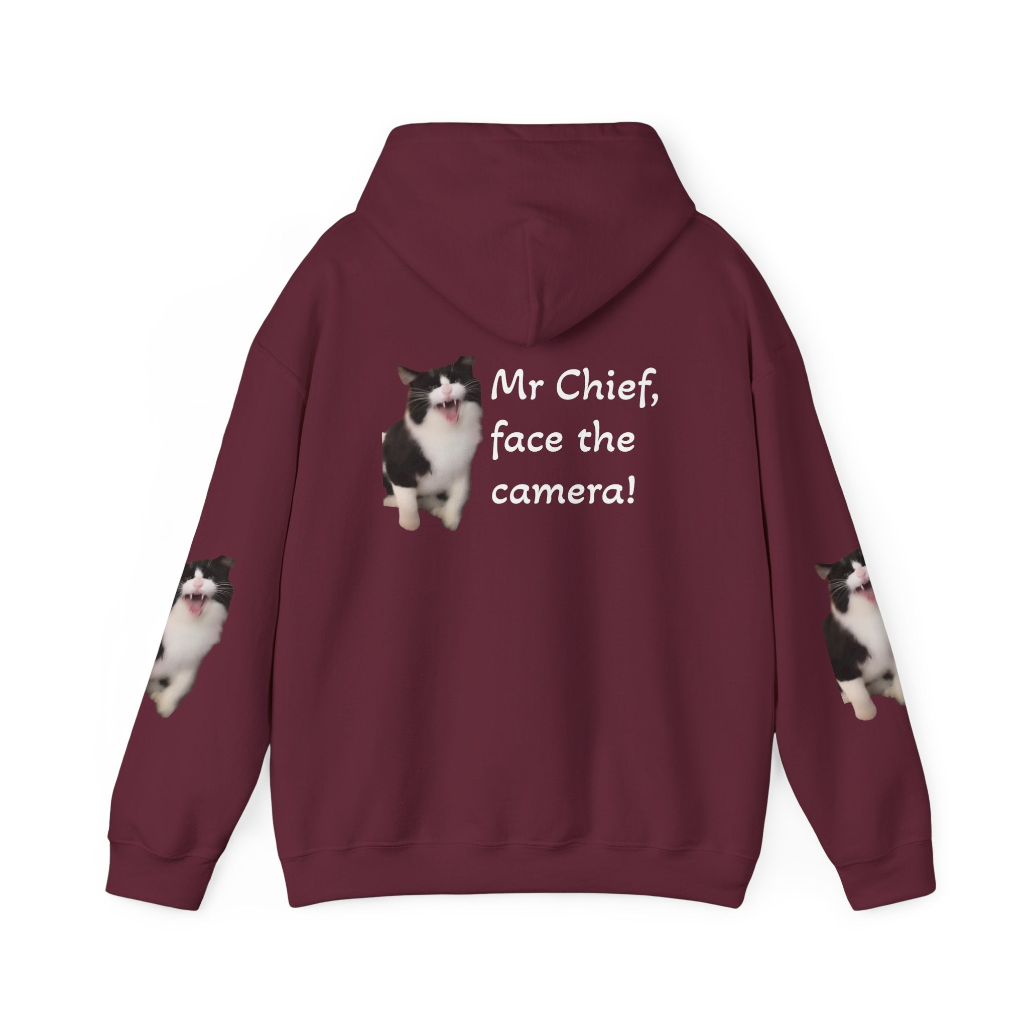 Cat Photo Hoodie — "Mr Chief, face the camera!" Novelty Cat Lover