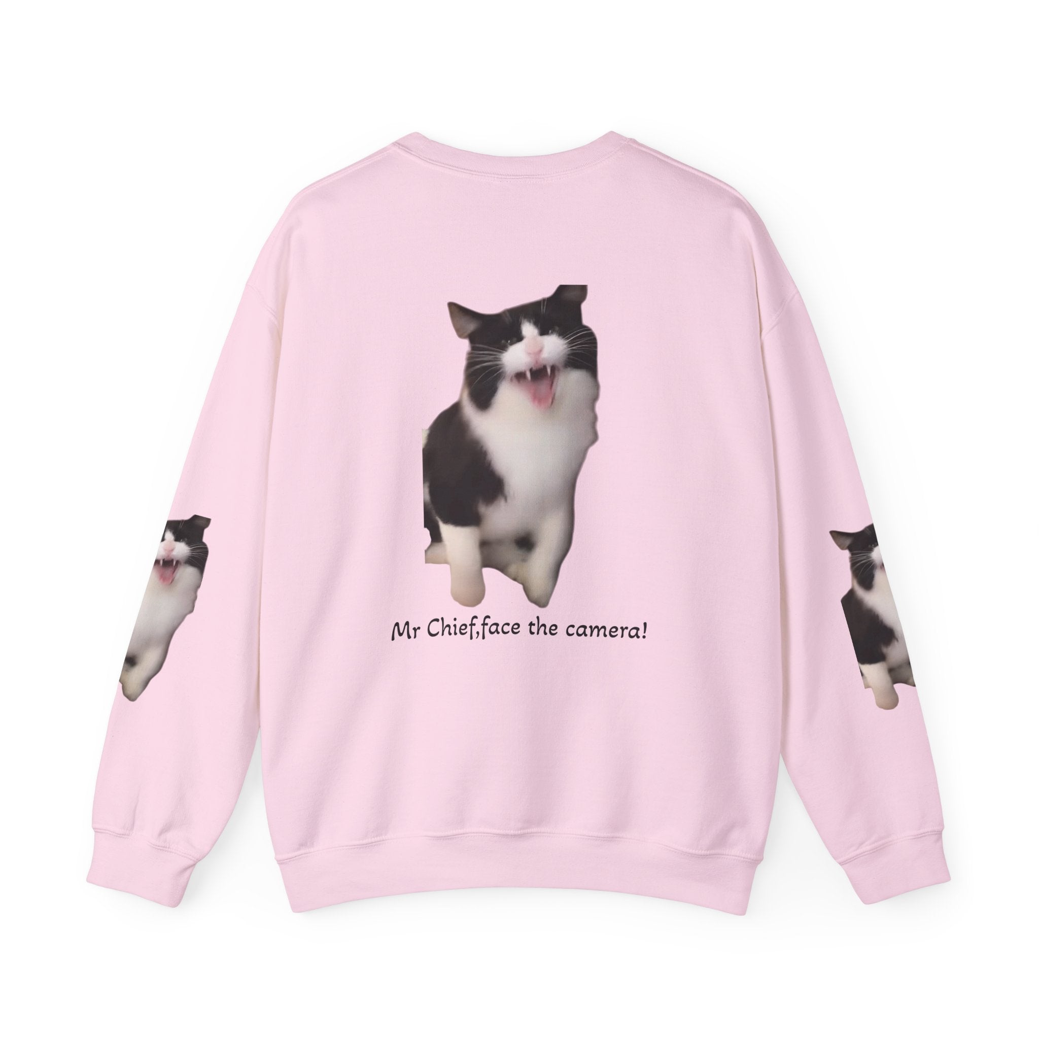 Crewneck Sweatshirt — 'Mr Chief, face the camera!' Funny Black & White Cat Photo Pullover