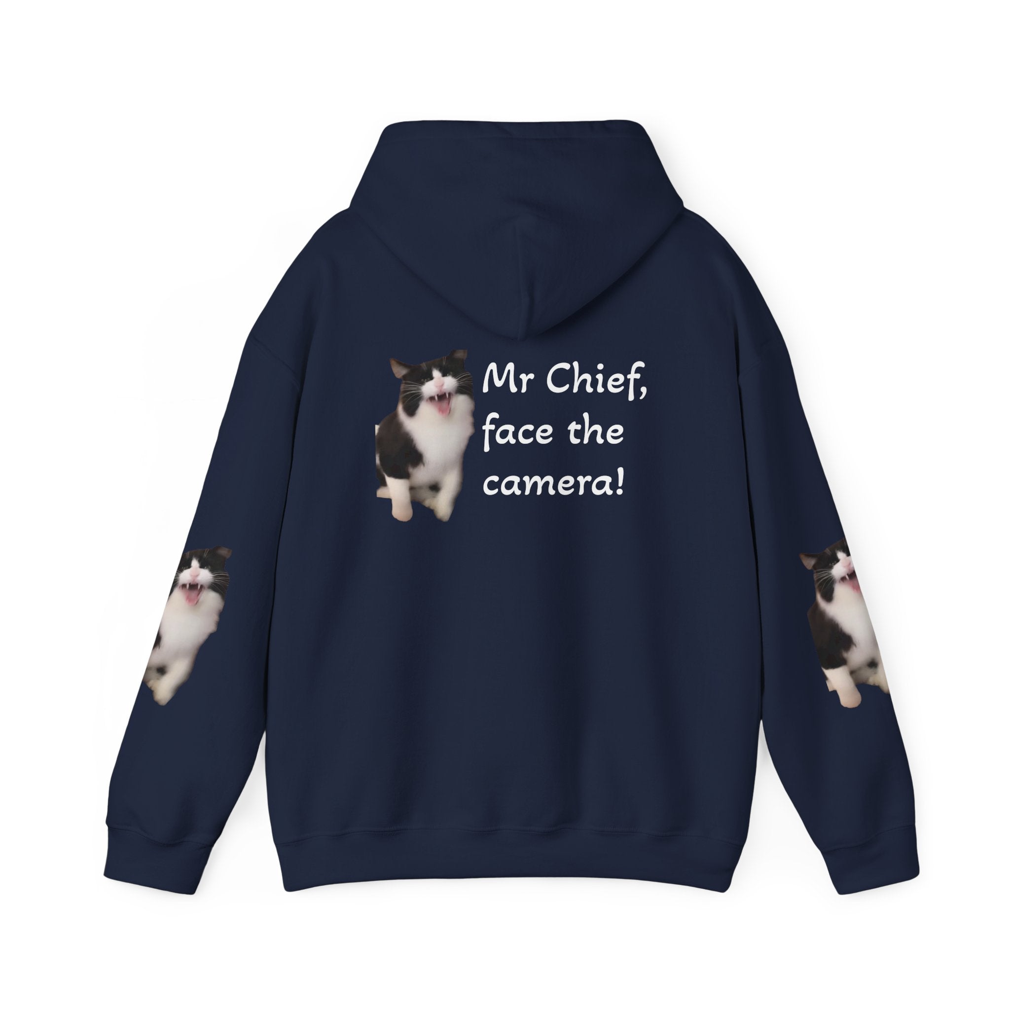 Cat Photo Hoodie — "Mr Chief, face the camera!" Novelty Cat Lover