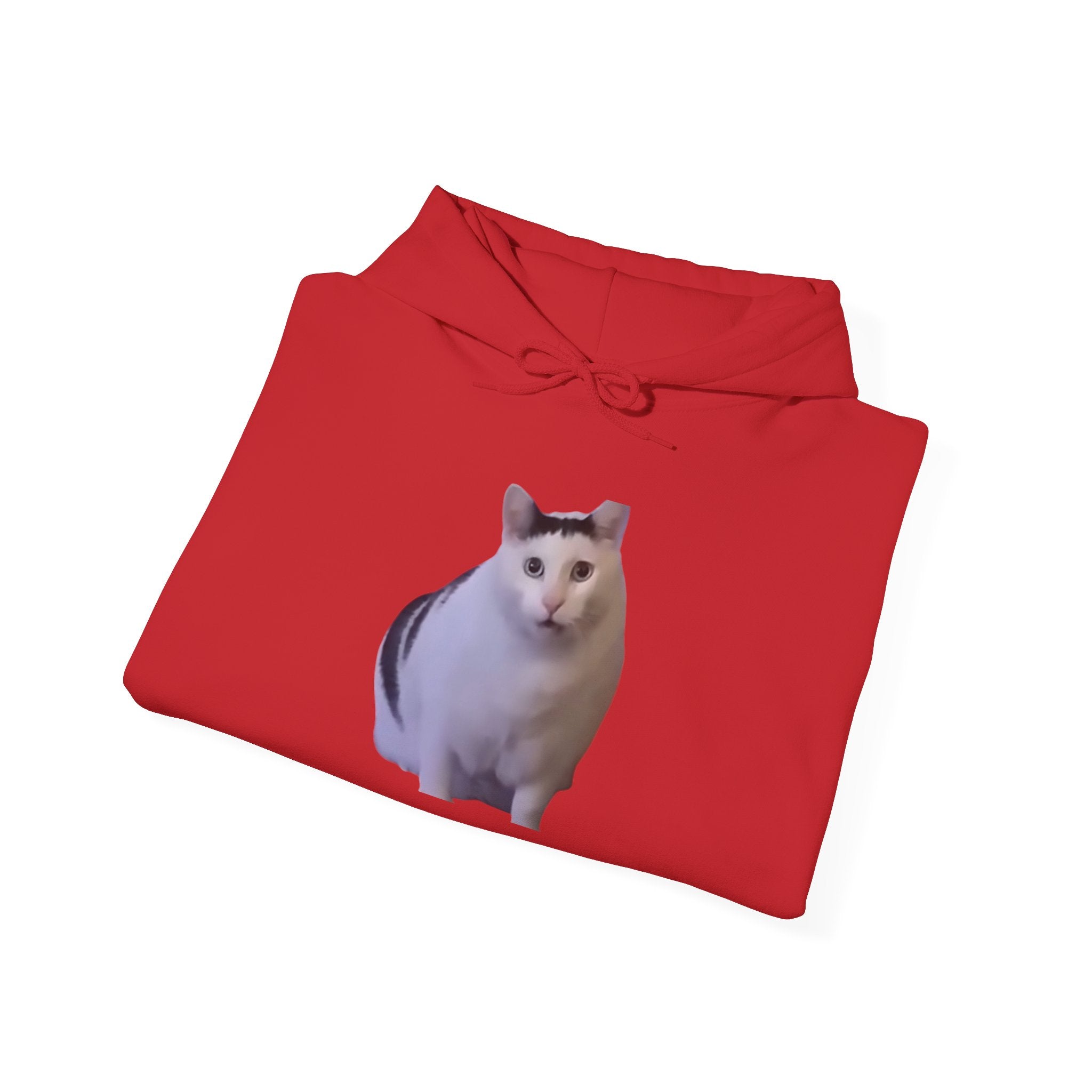 Cat Photo Hoodie – Cute Chubby Cat Pullover