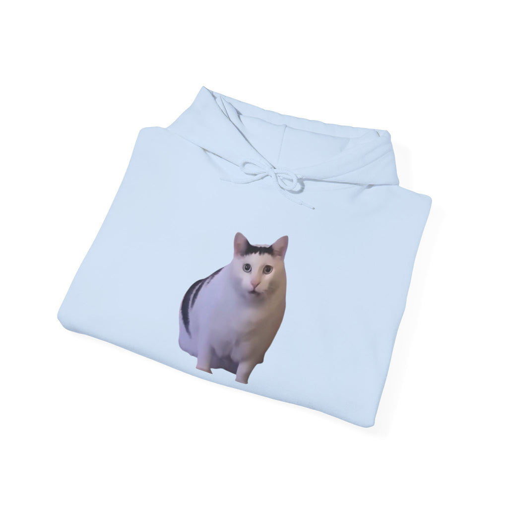 Cat Meme Hoodie — 'HUUUUUUUH' Funny Viral Cat Photo