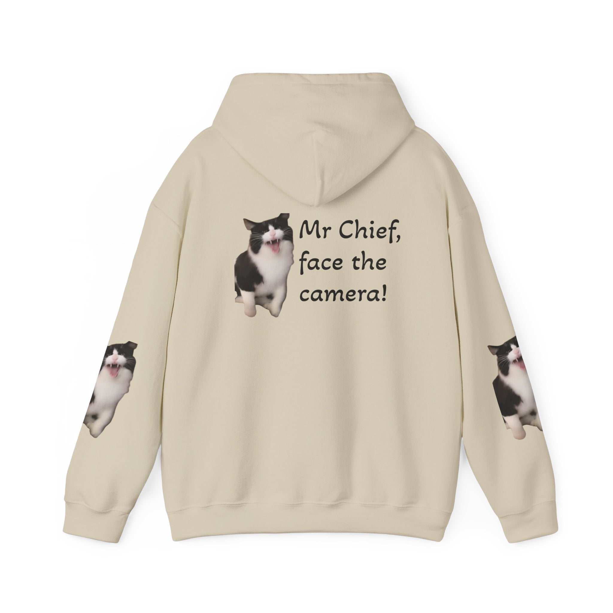 Cat Photo Hoodie — "Mr Chief, face the camera!" Cute Tuxedo Cat Portrait Sweatshirt