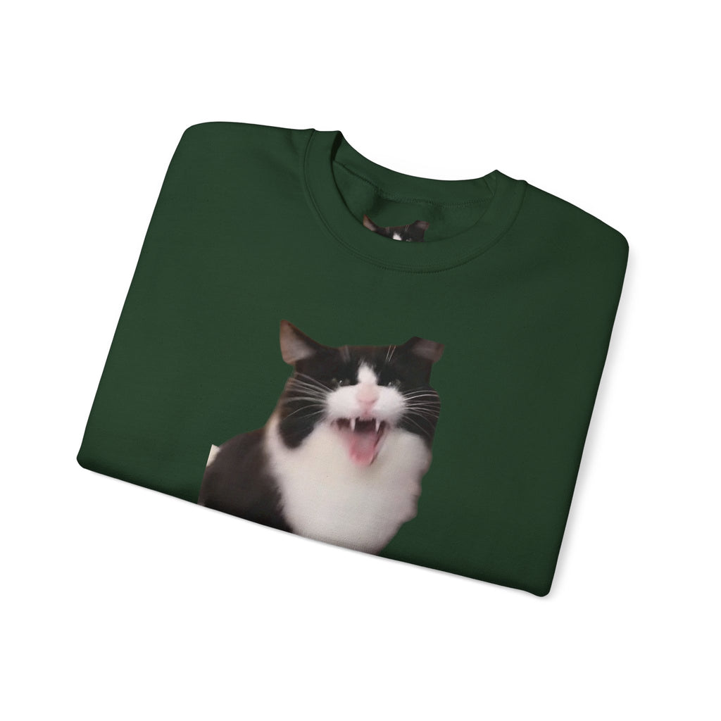 Copy of Crewneck Sweatshirt — 'Mr Chief, face the camera!' Funny Black & White Cat Photo Pullover