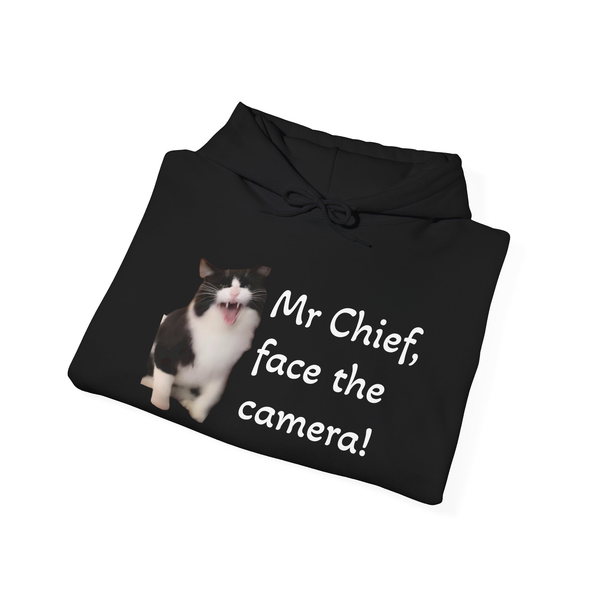 Cat Photo Hoodie — "Mr Chief, face the camera!" Novelty Cat Lover